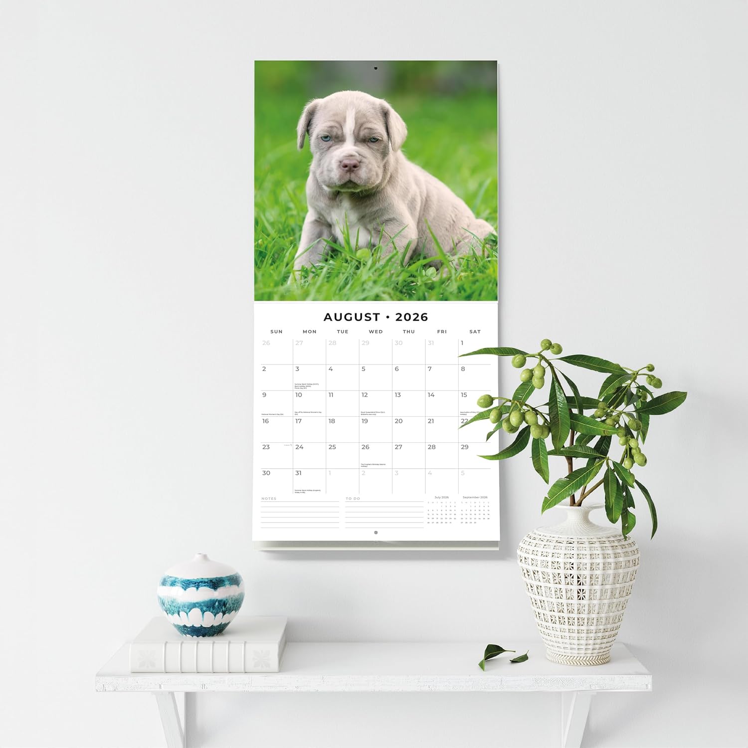 Red Robin 2026 Mastiffs Monthly Wall Calendar | 12" x 24" Open | Premium Thick & Sturdy Paper | Hangable 12 Month Calendar | Lined Notes & To Do Area | Vivid Images | Plastic Free