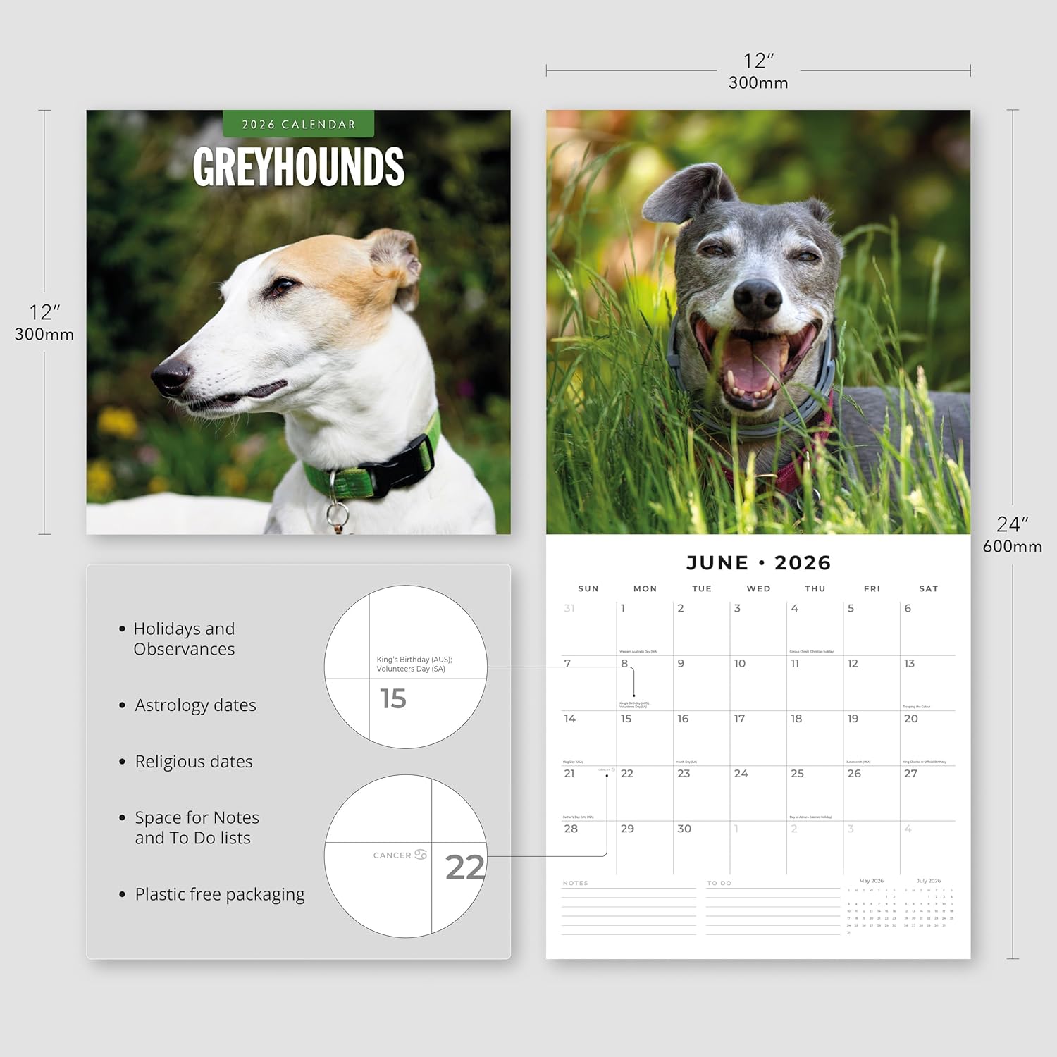 Red Robin 2026 Greyhounds Monthly Wall Calendar | 12" x 24" Open | Premium Thick & Sturdy Paper | Hangable 12 Month Calendar | Lined Notes & To Do Area | Vivid Images | Plastic Free