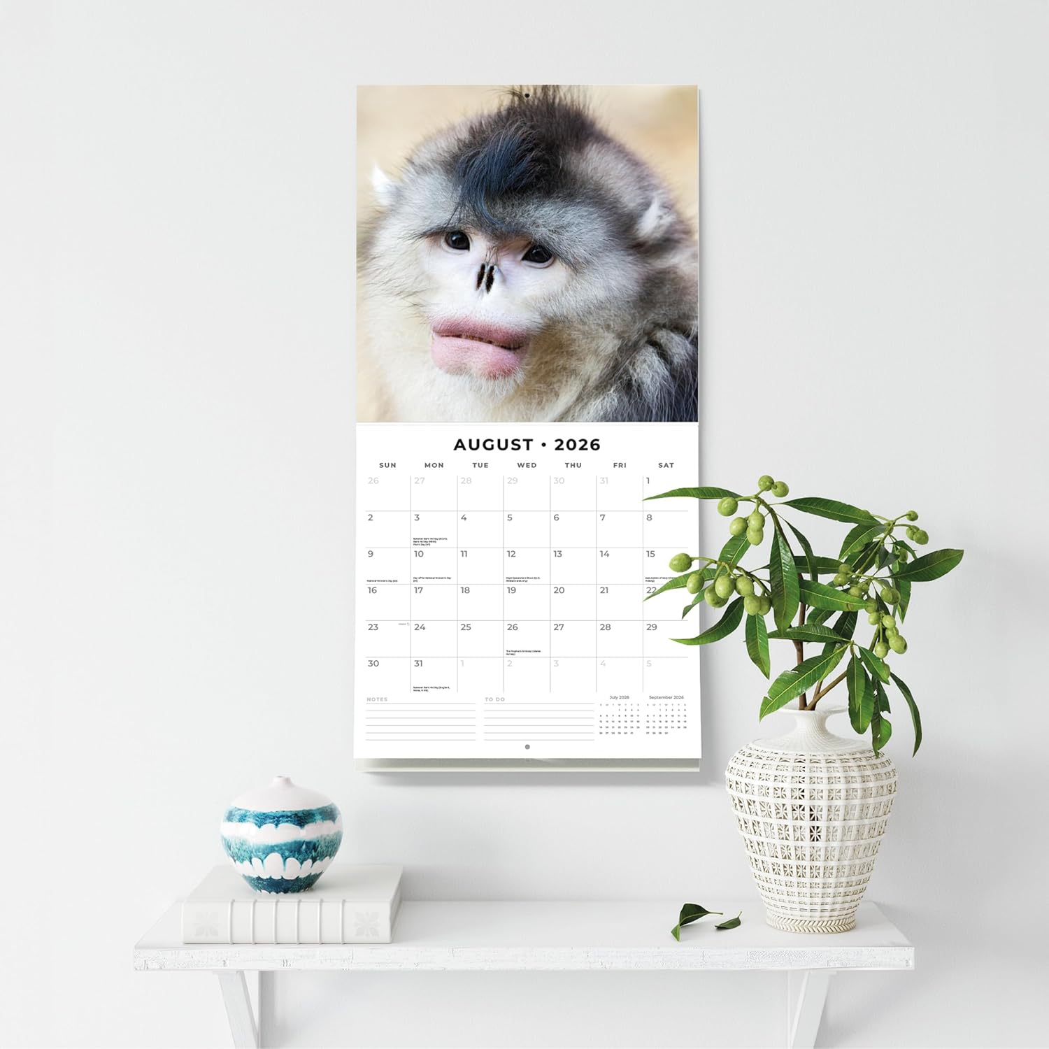 Red Robin 2026 Monkey Business Monthly Wall Calendar | 12" x 24" Open | Premium Thick & Sturdy Paper | Hangable 12 Month Calendar | Lined Notes & To Do Area | Vivid Images | Plastic Free