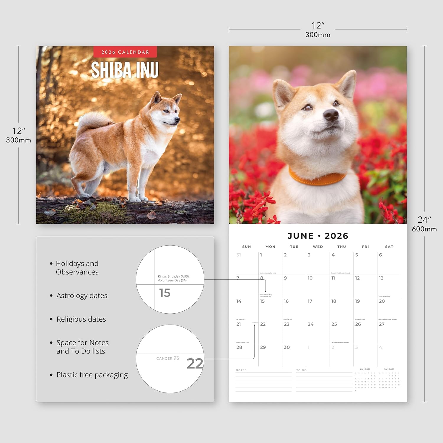 Red Robin 2026 Shiba Inu Monthly Wall Calendar | 12" x 24" Open | Premium Thick & Sturdy Paper | Hangable 12 Month Calendar | Lined Notes & To Do Area | Vivid Images | Plastic Free