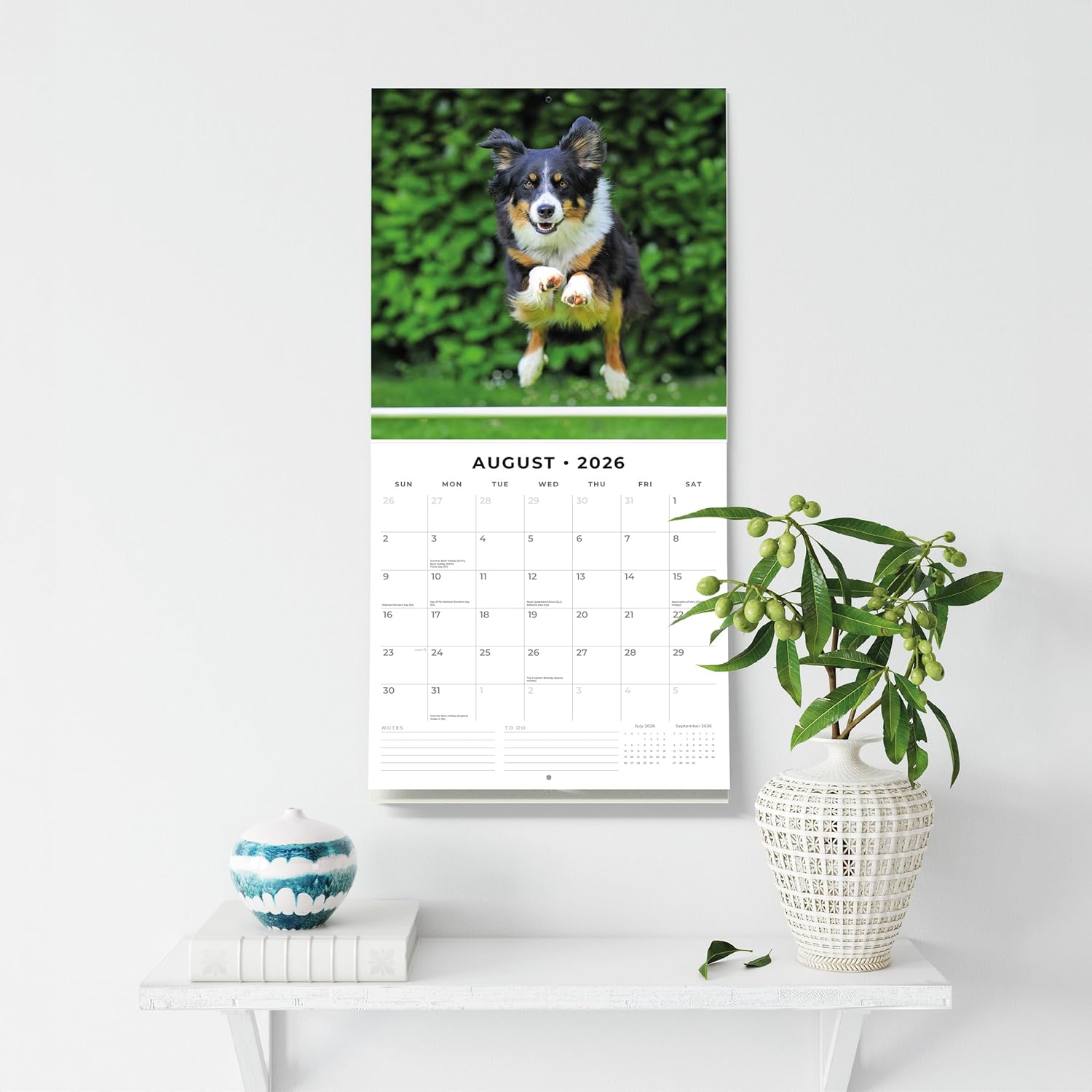Red Robin 2026 Border Collies Monthly Wall Calendar | 12" x 24" Open | Premium Thick & Sturdy Paper | Hangable 12 Month Calendar | Lined Notes & To Do Area | Vivid Images | Plastic Free