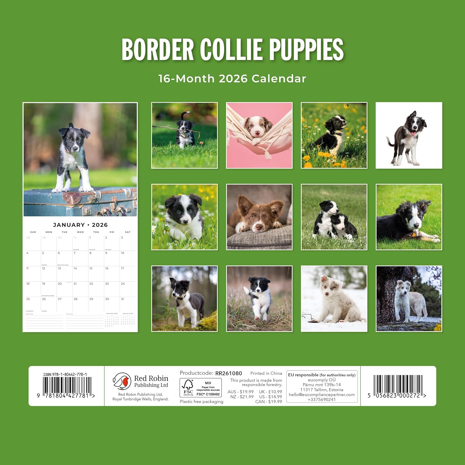 Red Robin 2026 Border Collie Puppies Monthly Wall Calendar | 12" x 24" Open | Premium Thick & Sturdy Paper | Hangable 12 Month Calendar | Lined Notes & To Do Area | Vivid Images | Plastic Free