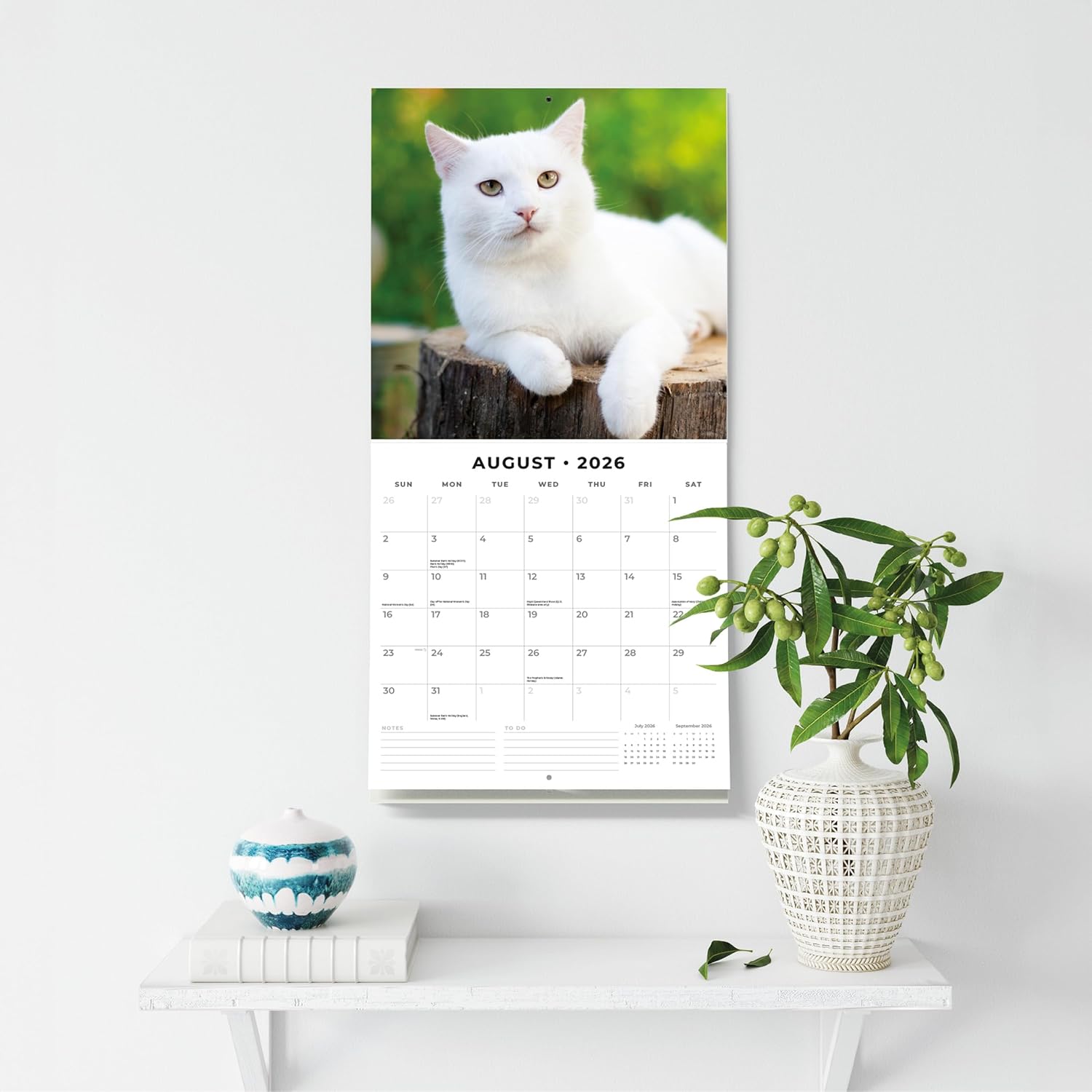 Red Robin 2026 Cats & Kittens Monthly Wall Calendar | 12" x 24" Open | Premium Thick & Sturdy Paper | Hangable 12 Month Calendar | Lined Notes & To Do Area | Vivid Images | Plastic Free