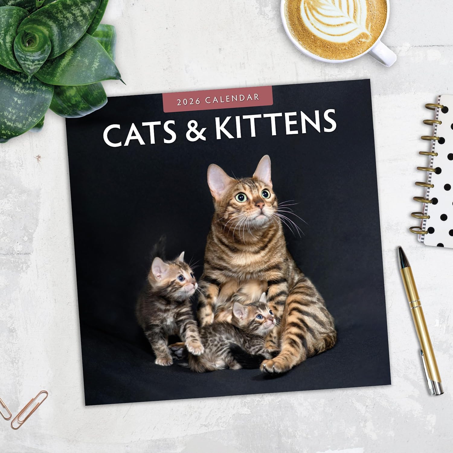 Red Robin 2026 Cats & Kittens Monthly Wall Calendar | 12" x 24" Open | Premium Thick & Sturdy Paper | Hangable 12 Month Calendar | Lined Notes & To Do Area | Vivid Images | Plastic Free