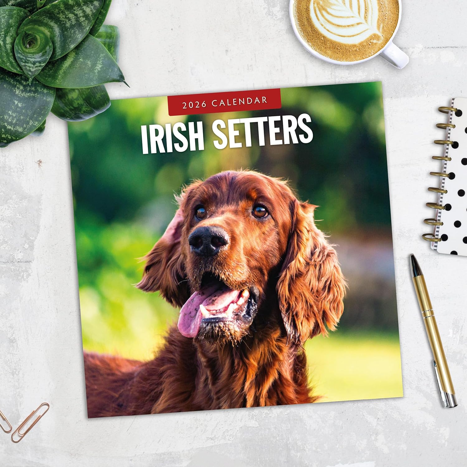 Red Robin 2026 Irish Setters Monthly Wall Calendar | 12" x 24" Open | Premium Thick & Sturdy Paper | Hangable 12 Month Calendar | Lined Notes & To Do Area | Vivid Images | Plastic Free