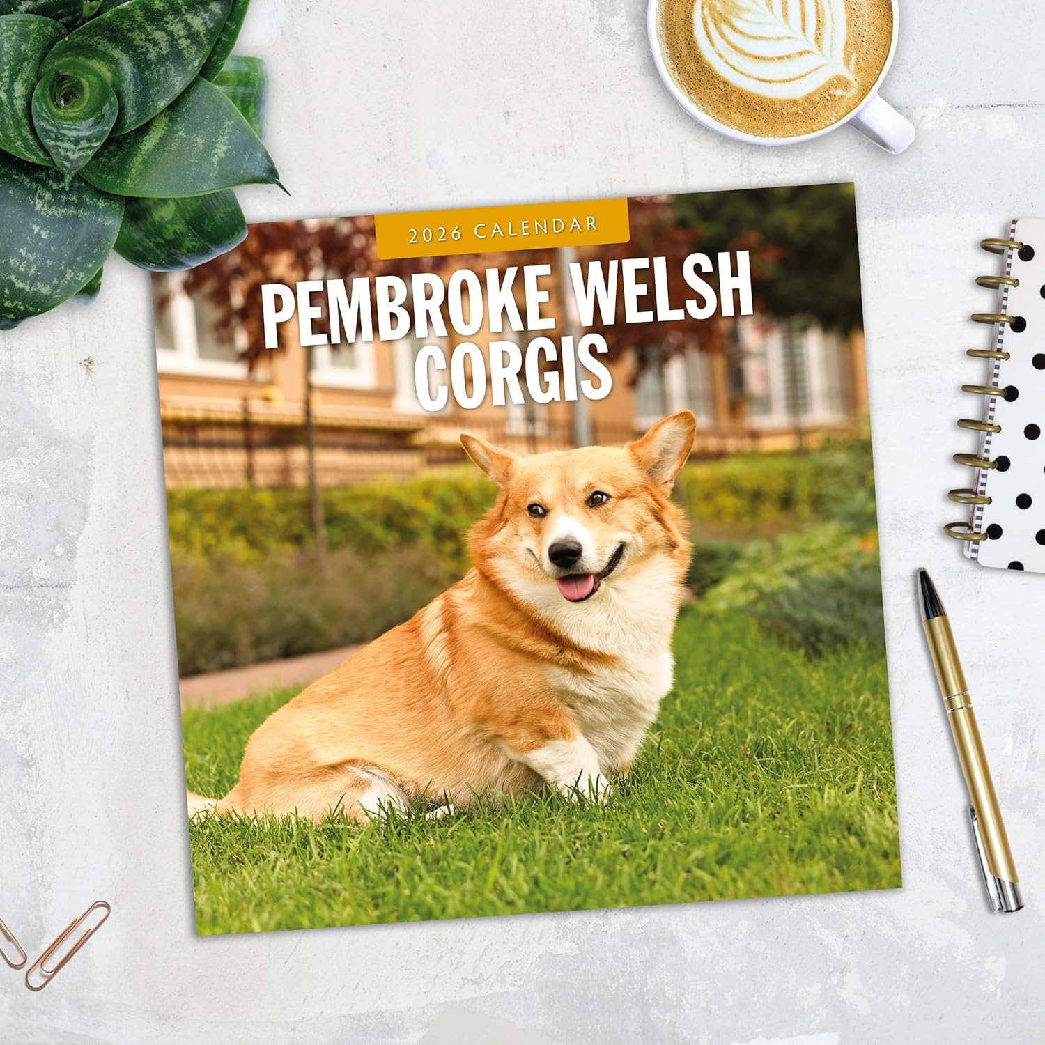 Red Robin 2026 Pembroke Welsh Corgis Monthly Wall Calendar | 12" x 24" Open | Premium Thick & Sturdy Paper | Hangable 12 Month Calendar | Lined Notes & To Do Area | Vivid Images | Plastic Free