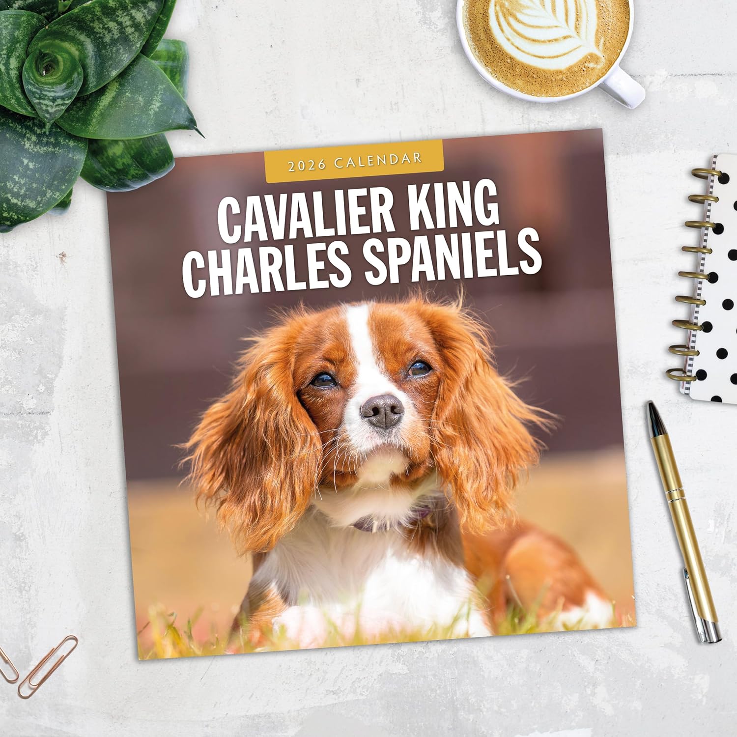 Red Robin 2026 Cavalier King Charles Spaniels Monthly Wall Calendar | 12" x 24" Open | Premium Thick & Sturdy Paper | Hangable 12 Month Calendar | Lined Notes & To Do Area | Plastic Free