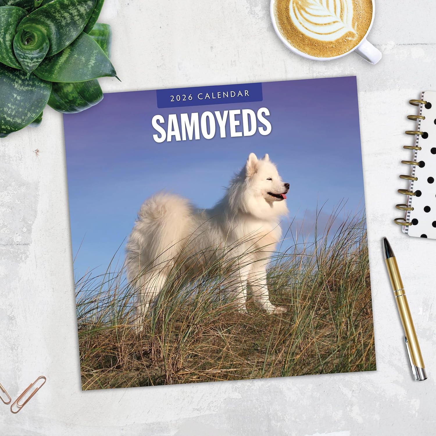 Red Robin 2026 Samoyeds Monthly Wall Calendar | 12" x 24" Open | Premium Thick & Sturdy Paper | Hangable 12 Month Calendar | Lined Notes & To Do Area | Vivid Images | Plastic Free