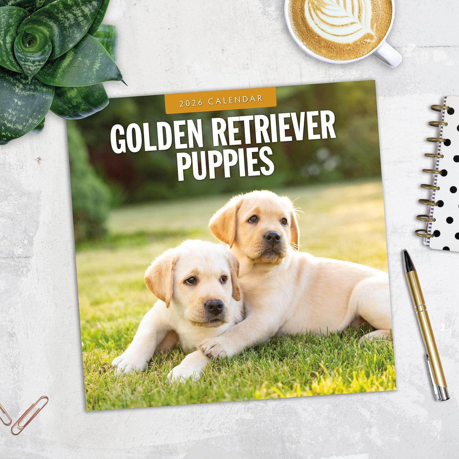 Red Robin 2026 Golden Retriever Puppies Monthly Wall Calendar | 12" x 24" Open | Premium Thick & Sturdy Paper | Hangable 12 Month Calendar | Lined Notes & To Do Area | Vivid Images | Plastic Free