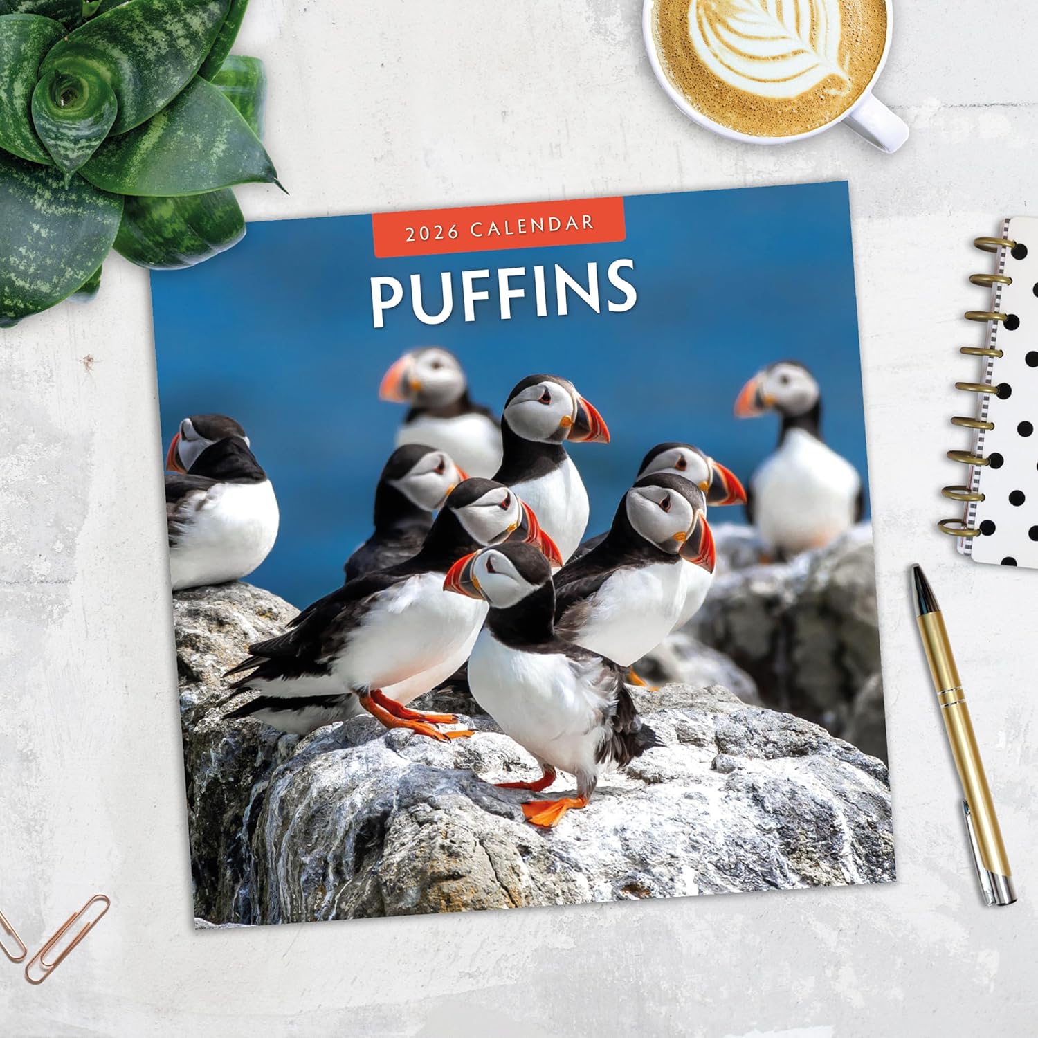Red Robin 2026 Puffins Monthly Wall Calendar | 12" x 24" Open | Premium Thick & Sturdy Paper | Hangable 12 Month Calendar | Lined Notes & To Do Area | Vivid Images | Plastic Free