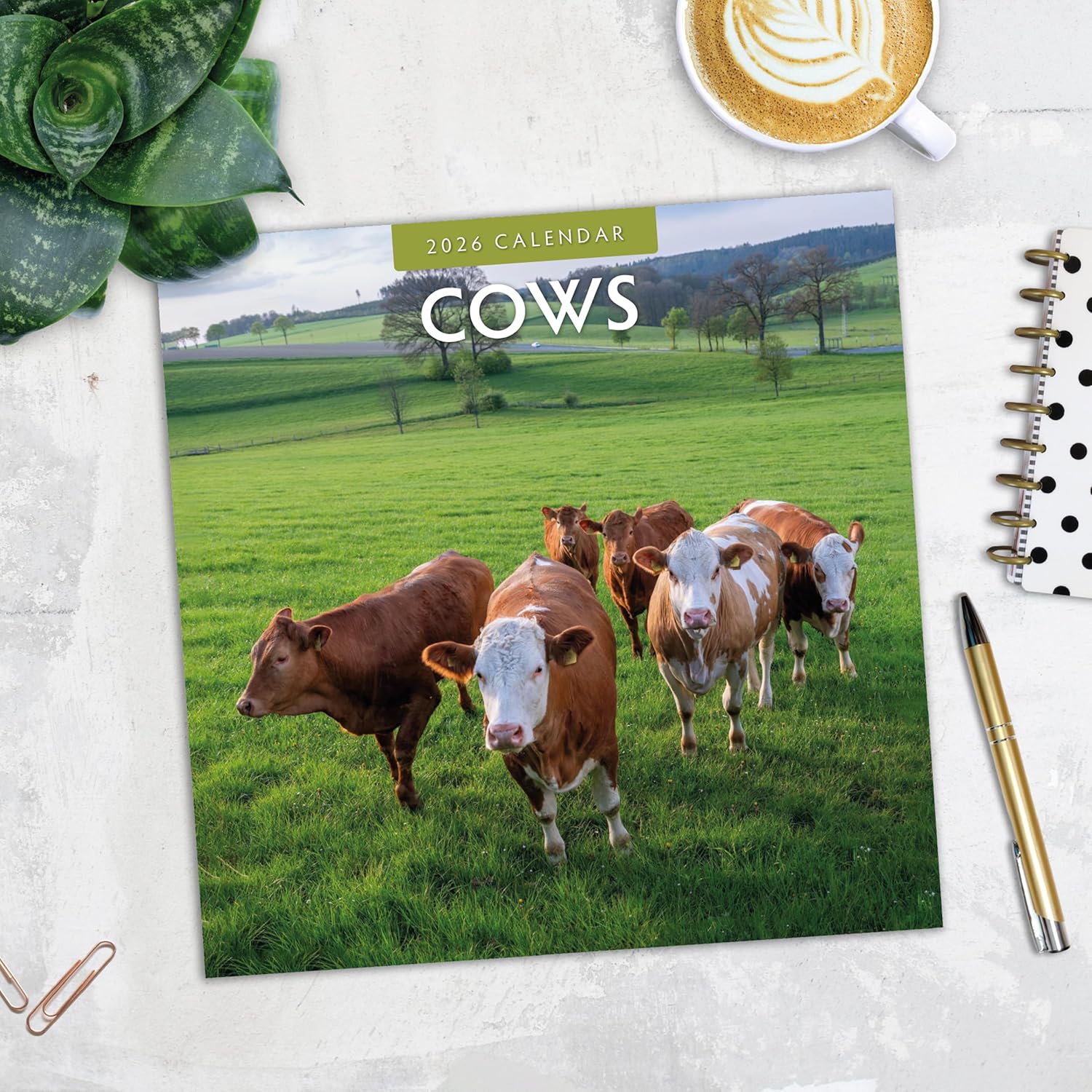 Red Robin 2026 Cows Monthly Wall Calendar | 12" x 24" Open | Premium Thick & Sturdy Paper | Hangable 12 Month Calendar | Lined Notes & To Do Area | Vivid Images | Plastic Free