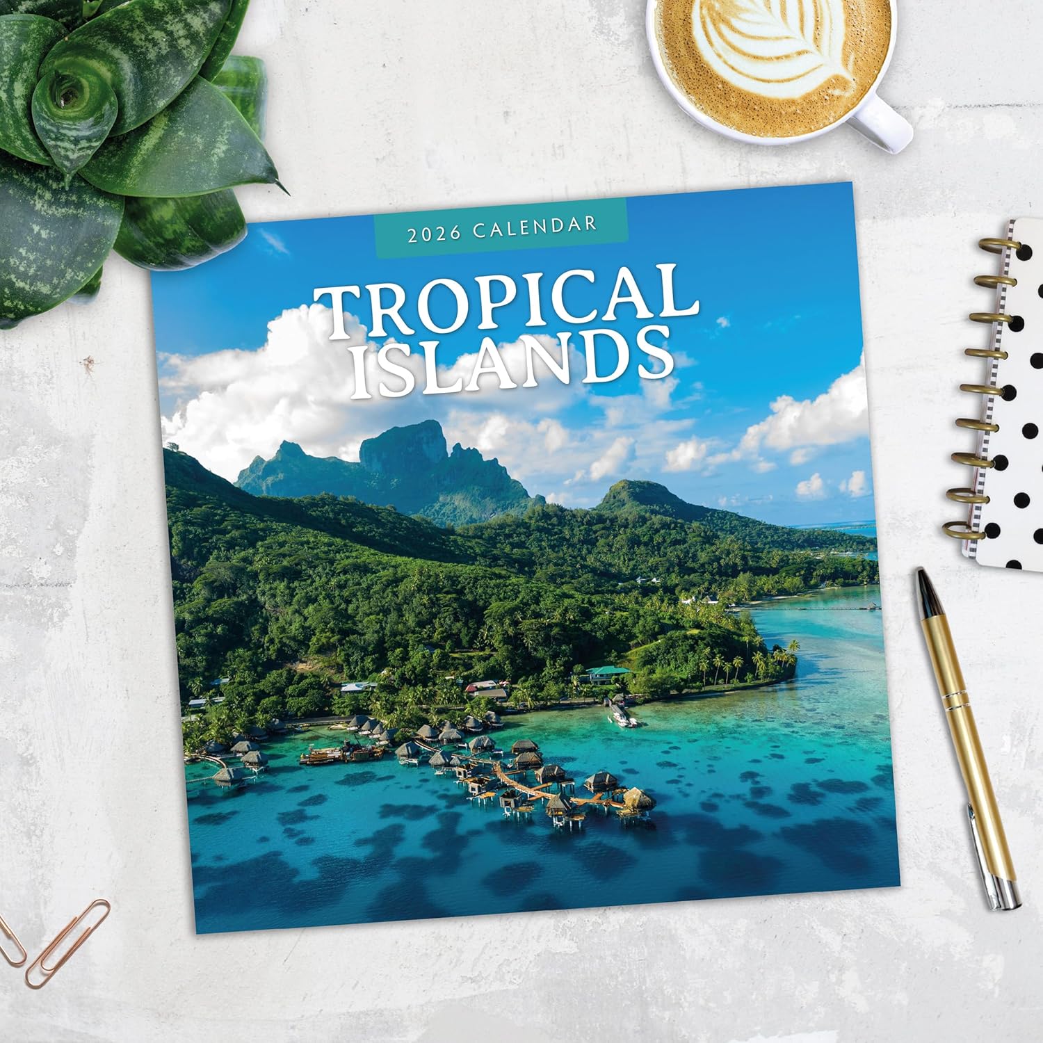Red Robin 2026 Tropical Islands Monthly Wall Calendar | 12" x 24" Open | Premium Thick & Sturdy Paper | Hangable 12 Month Calendar | Lined Notes & To Do Area | Vivid Images | Plastic Free