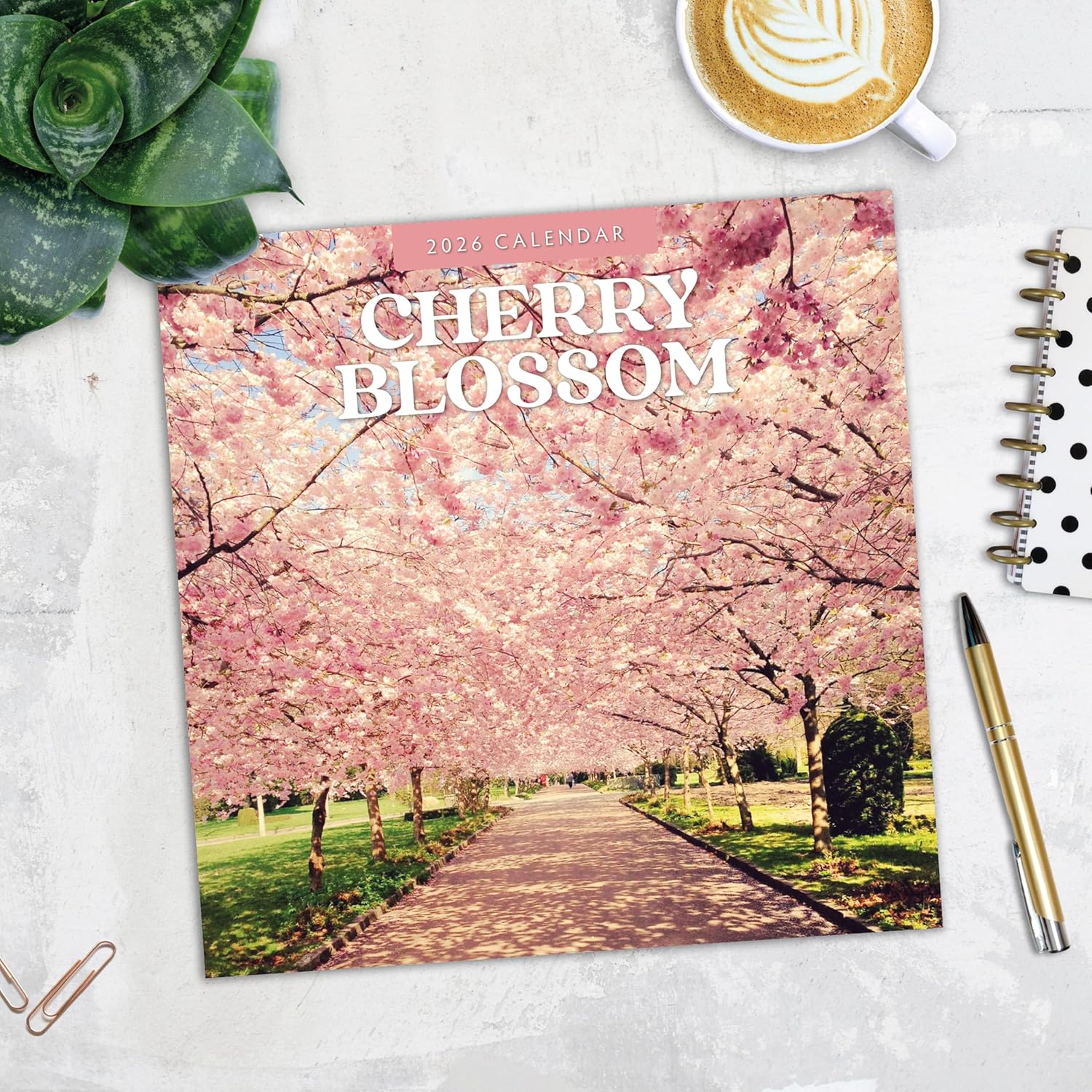 Red Robin 2026 Cherry Blossom Monthly Wall Calendar | 12" x 24" Open | Premium Thick & Sturdy Paper | Hangable 12 Month Calendar | Lined Notes & To Do Area | Vivid Images | Plastic Free