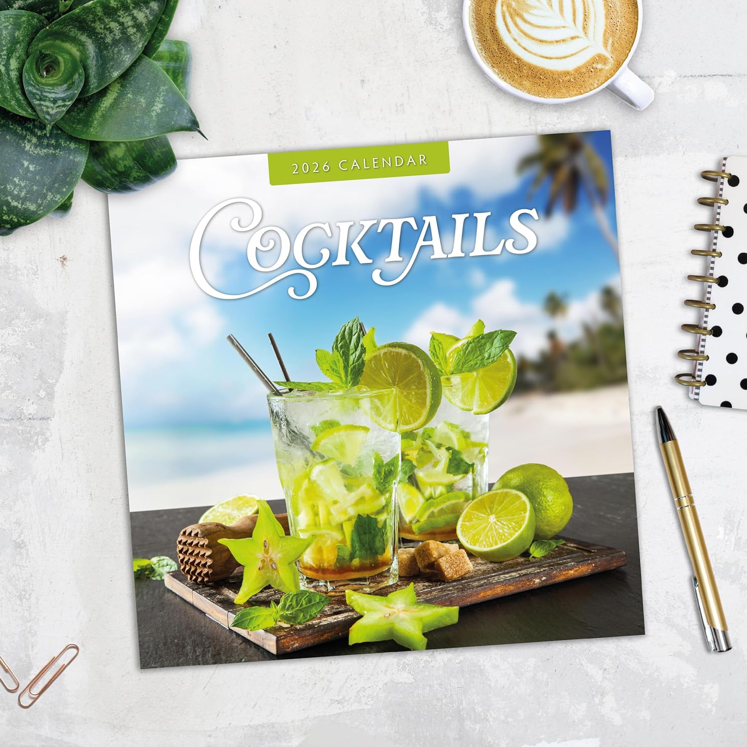 Red Robin 2026 Cocktails Monthly Wall Calendar | 12" x 24" Open | Premium Thick & Sturdy Paper | Hangable 12 Month Calendar | Lined Notes & To Do Area | Vivid Images | Plastic Free