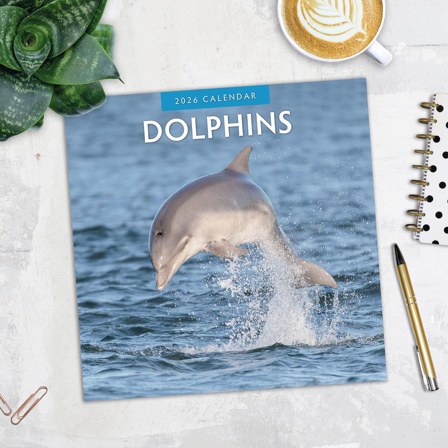 Red Robin 2026 Dolphins Monthly Wall Calendar | 12" x 24" Open | Premium Thick & Sturdy Paper | Hangable 12 Month Calendar | Lined Notes & To Do Area | Vivid Images | Plastic Free