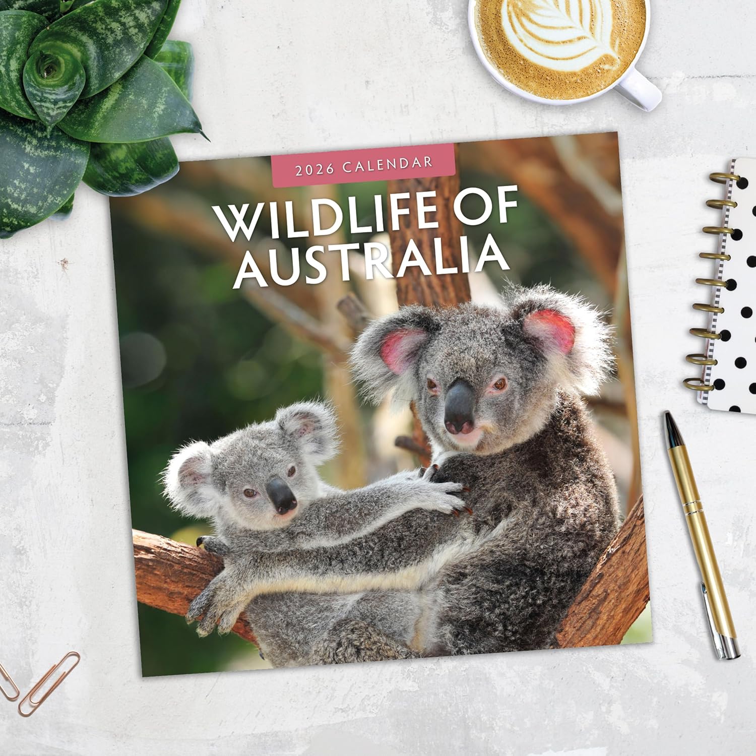 Red Robin 2026 Wildlife of Australia Monthly Wall Calendar | 12" x 24" Open | Premium Thick & Sturdy Paper | Hangable 12 Month Calendar | Lined Notes & To Do Area | Vivid Images | Plastic Free