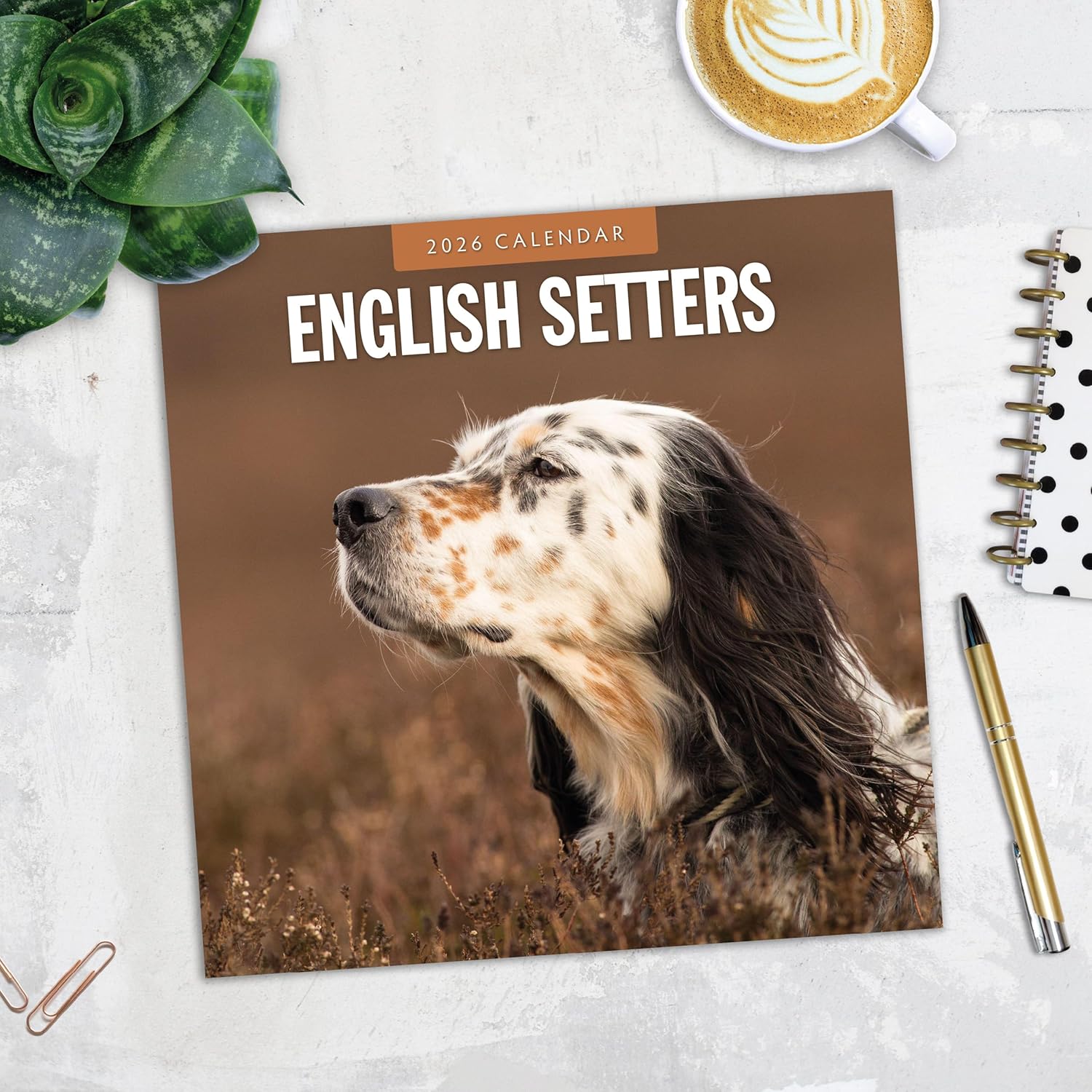 Red Robin 2026 English Setters Monthly Wall Calendar | 12" x 24" Open | Premium Thick & Sturdy Paper | Hangable 12 Month Calendar | Lined Notes & To Do Area | Vivid Images | Plastic Free