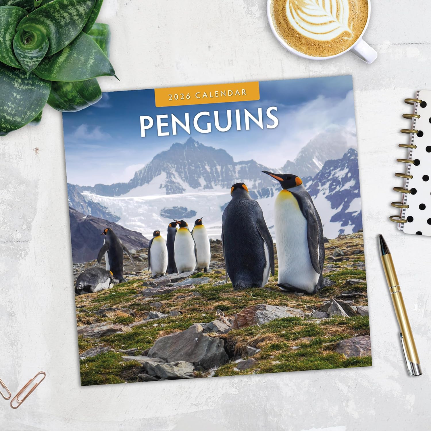 Red Robin 2026 Penguins Monthly Wall Calendar | 12" x 24" Open | Premium Thick & Sturdy Paper | Hangable 12 Month Calendar | Lined Notes & To Do Area | Vivid Images | Plastic Free