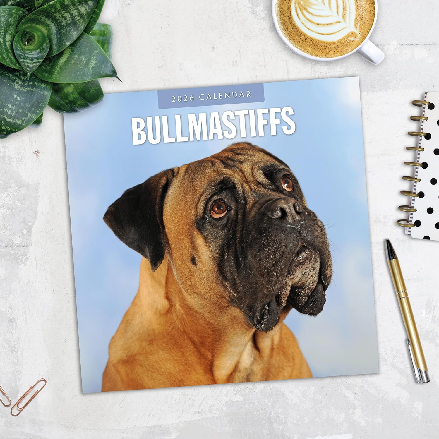 Red Robin 2026 Bullmastiffs Monthly Wall Calendar | 12" x 24" Open | Premium Thick & Sturdy Paper | Hangable 12 Month Calendar | Lined Notes & To Do Area | Vivid Images | Plastic Free