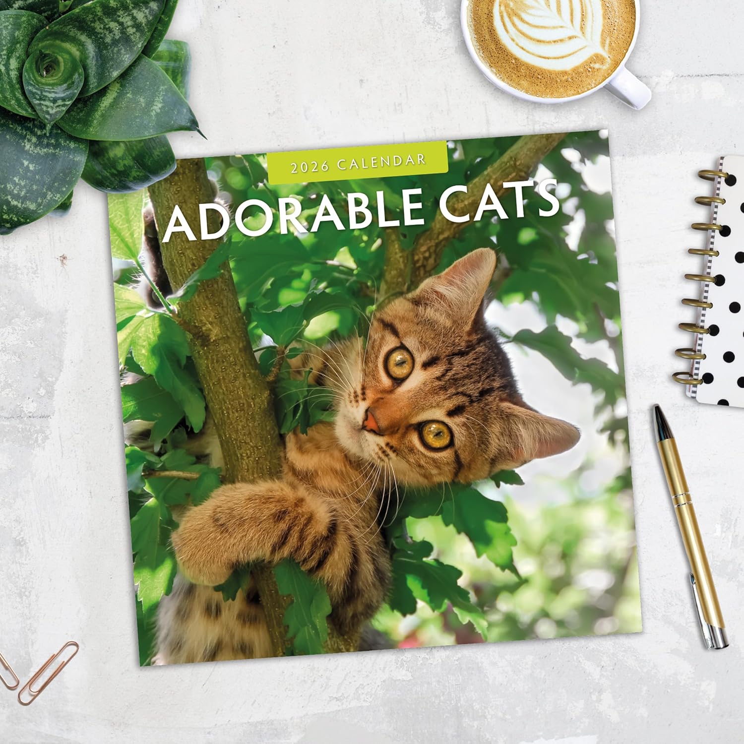 Adorable Cats - 2026 Square Wall Calendar - by Red Robin Publishing