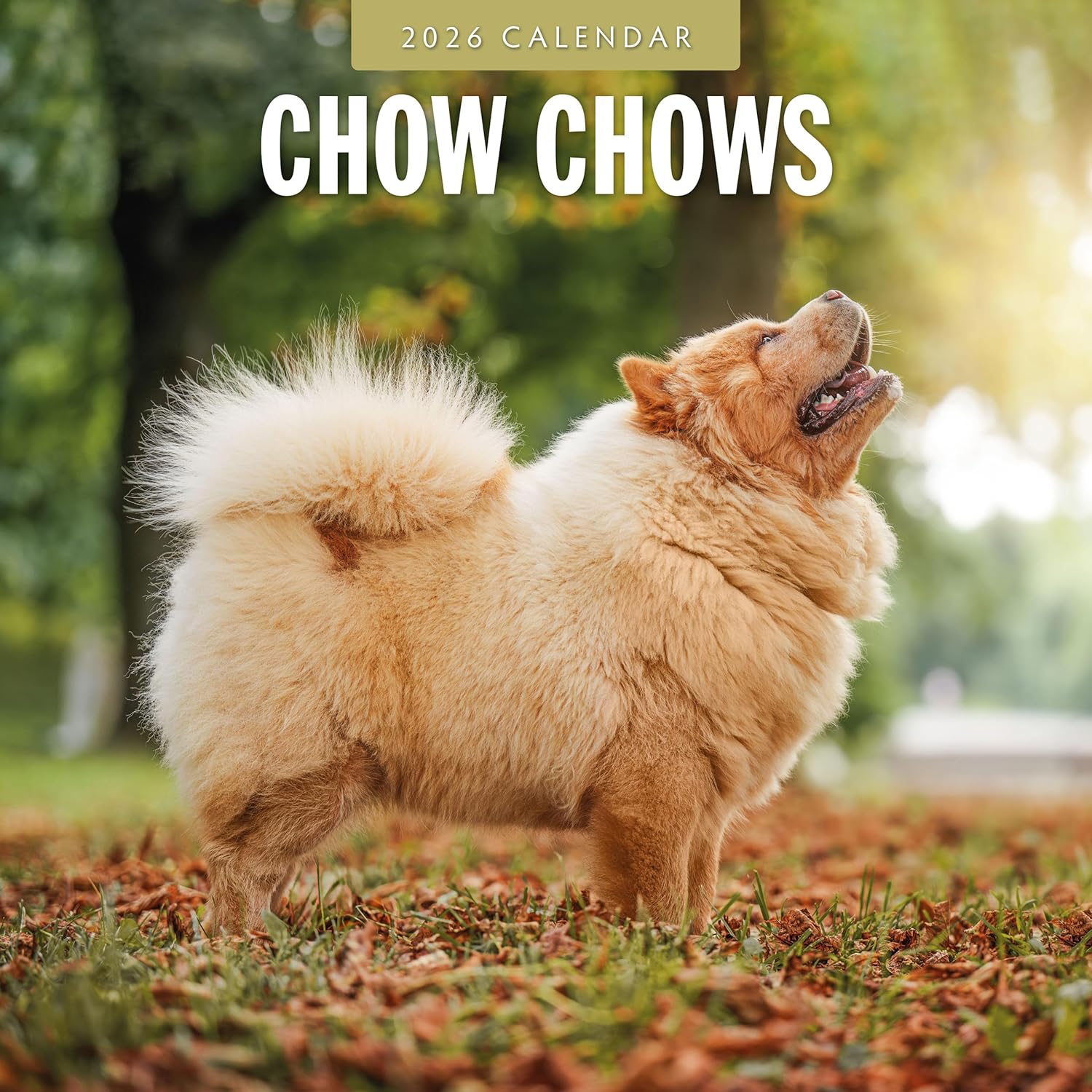 Red Robin 2026 Chow Chows Monthly Wall Calendar | 12" x 24" Open | Premium Thick & Sturdy Paper | Hangable 12 Month Calendar | Lined Notes & To Do Area | Vivid Images | Plastic Free