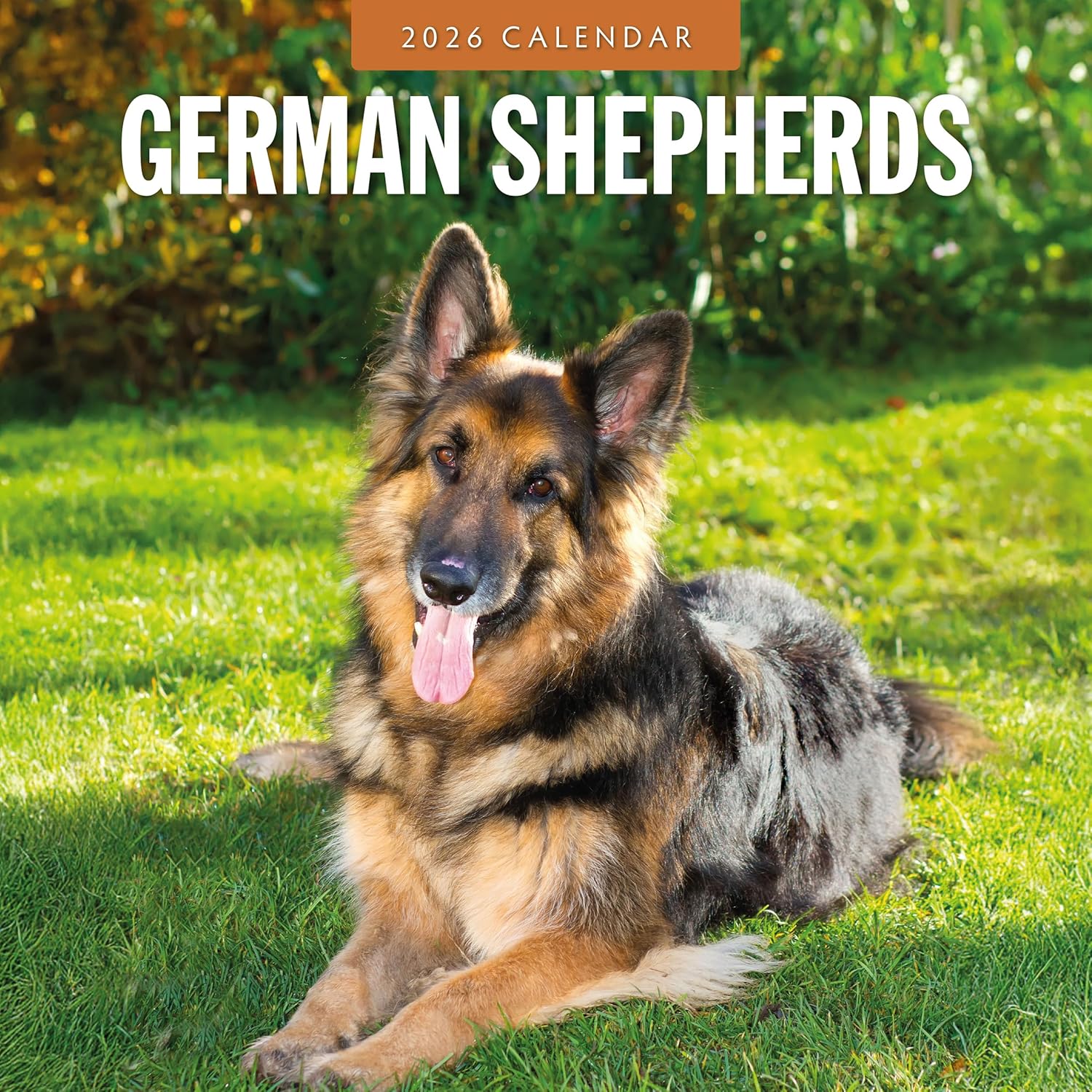 Red Robin 2026 German Shepherds Monthly Wall Calendar | 12" x 24" Open | Premium Thick & Sturdy Paper | Hangable 12 Month Calendar | Lined Notes & To Do Area | Vivid Images | Plastic Free