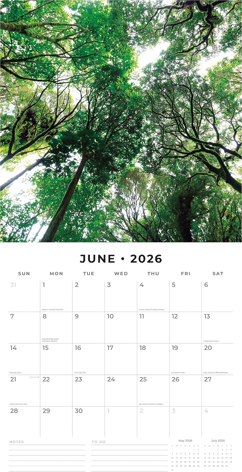 Red Robin 2026 Woodland Scenes Monthly Wall Calendar | 12" x 24" Open | Premium Thick & Sturdy Paper | Hangable 12 Month Calendar | Lined Notes & To Do Area | Vivid Images | Plastic Free