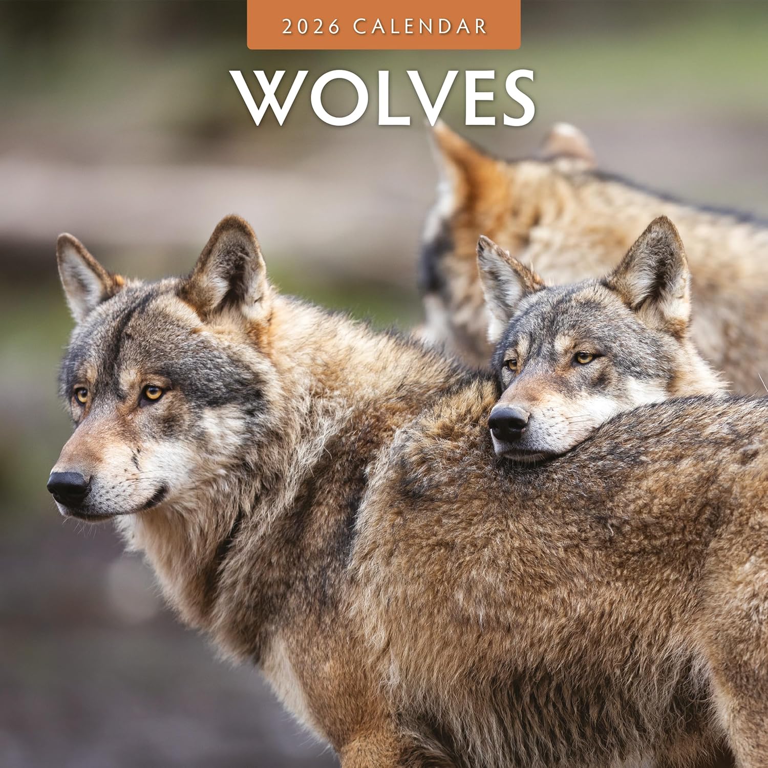 Red Robin 2026 Wolves Monthly Wall Calendar | 12" x 24" Open | Premium Thick & Sturdy Paper | Hangable 12 Month Calendar | Lined Notes & To Do Area | Vivid Images | Plastic Free