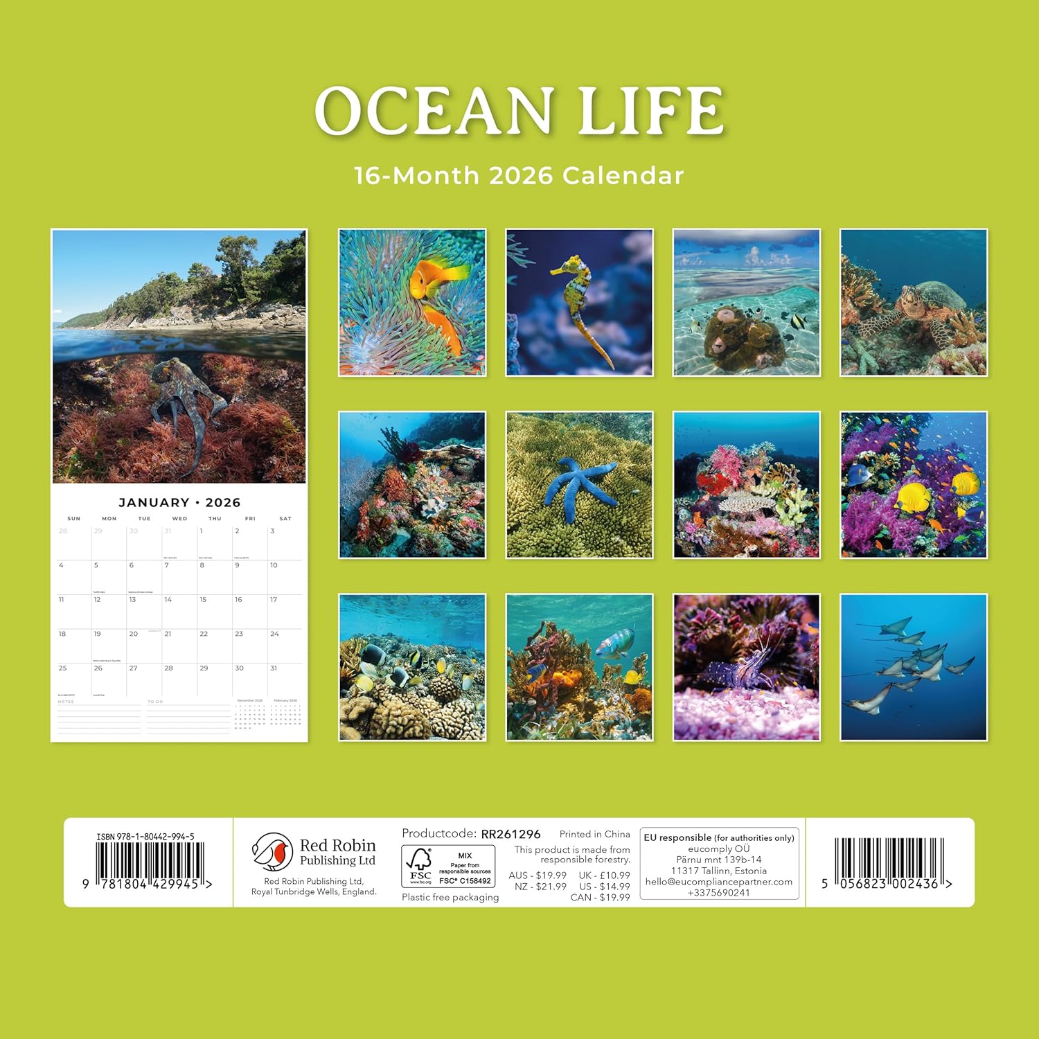 Red Robin 2026 Ocean Life Monthly Wall Calendar | 12" x 24" Open | Premium Thick & Sturdy Paper | Hangable 12 Month Calendar | Lined Notes & To Do Area | Vivid Images | Plastic Free