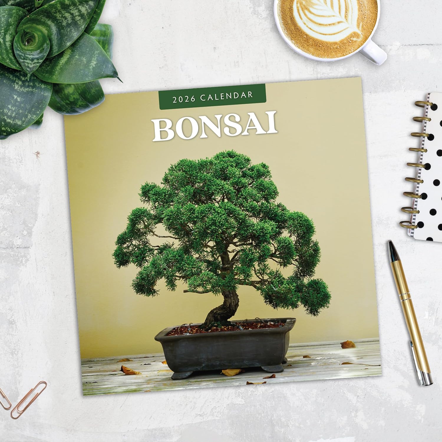 Red Robin 2026 Bonsai Monthly Wall Calendar | 12" x 24" Open | Premium Thick & Sturdy Paper | Hangable 12 Month Calendar | Lined Notes & To Do Area | Vivid Images | Plastic Free