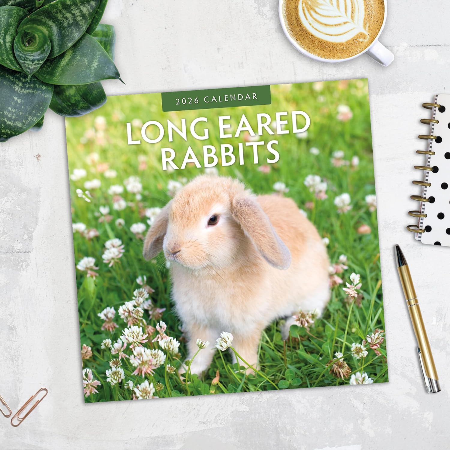 Red Robin 2026 Long Eared Rabbits Monthly Wall Calendar | 12" x 24" Open | Premium Thick & Sturdy Paper | Hangable 12 Month Calendar | Lined Notes & To Do Area | Vivid Images | Plastic Free