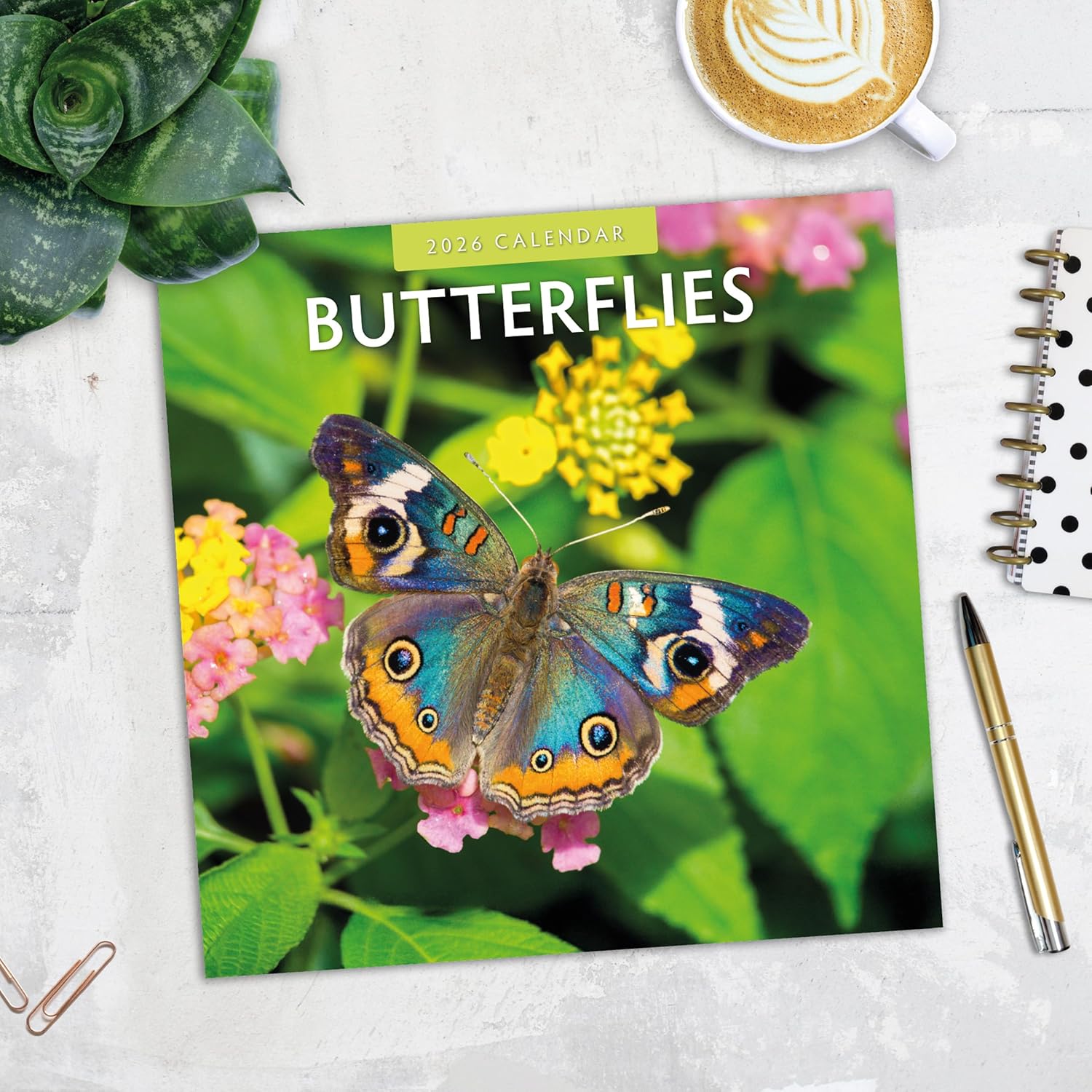 Butterflies - 2026 Square Wall Calendar - by Red Robin Publishing