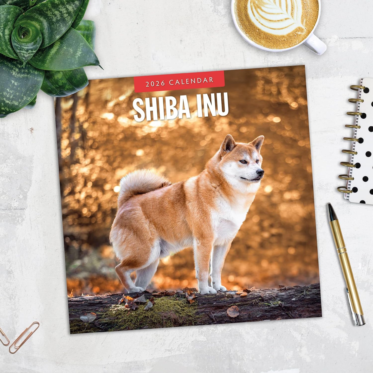 Red Robin 2026 Shiba Inu Monthly Wall Calendar | 12" x 24" Open | Premium Thick & Sturdy Paper | Hangable 12 Month Calendar | Lined Notes & To Do Area | Vivid Images | Plastic Free