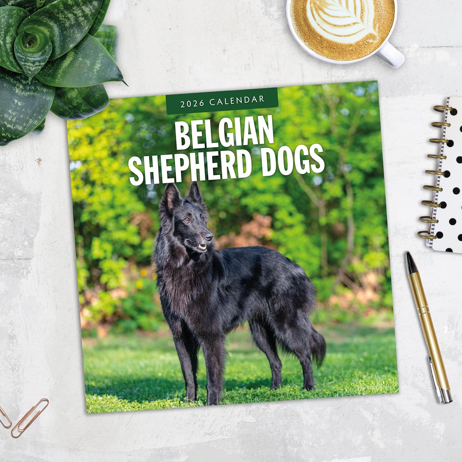 Red Robin 2026 Belgian Shepherd Dogs Monthly Wall Calendar | 12" x 24" Open | Premium Thick & Sturdy Paper | Hangable 12 Month Calendar | Lined Notes & To Do Area | Vivid Images | Plastic Free