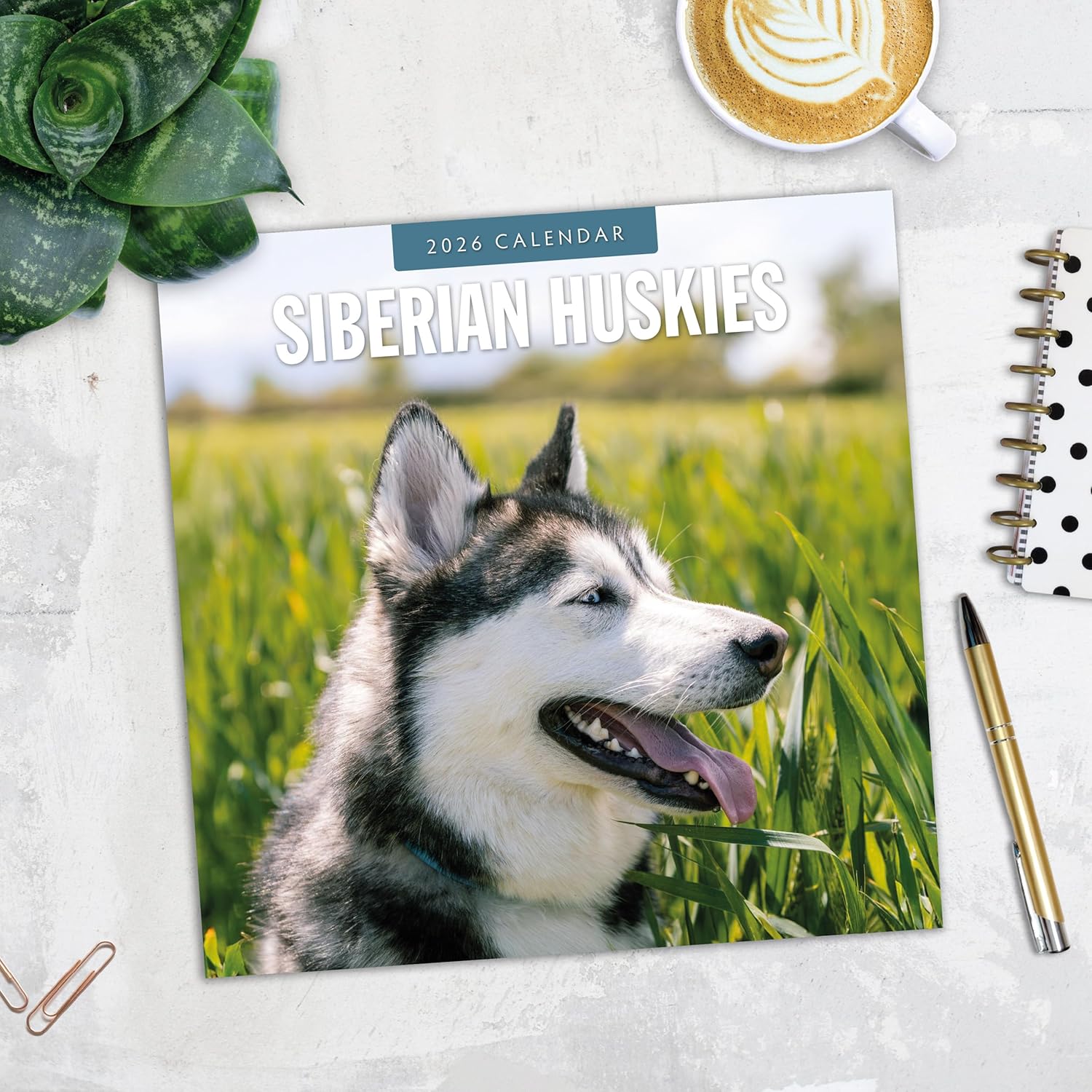 Red Robin 2026 Siberian Huskies Monthly Wall Calendar | 12" x 24" Open | Premium Thick & Sturdy Paper | Hangable 12 Month Calendar | Lined Notes & To Do Area | Vivid Images | Plastic Free