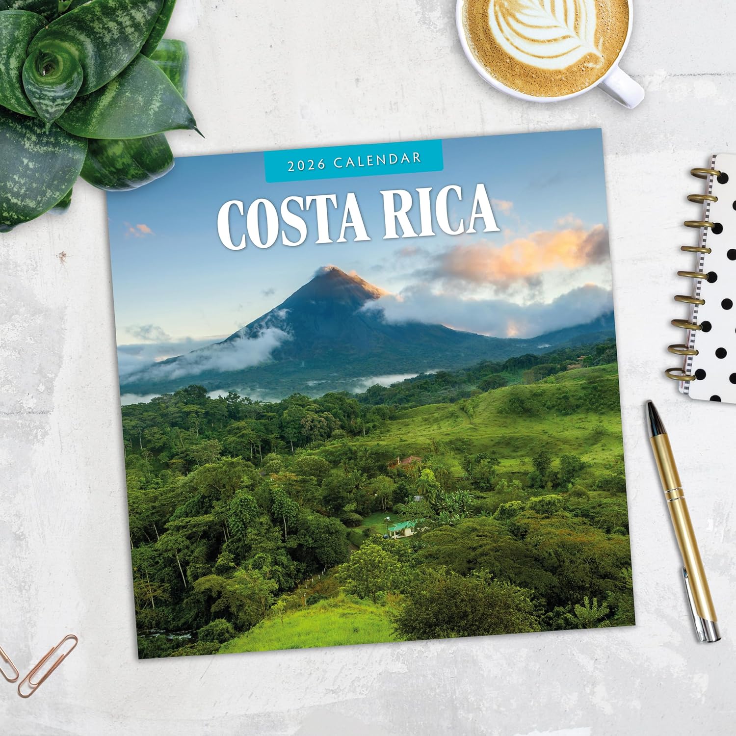 Red Robin 2026 Costa Rica Monthly Wall Calendar | 12" x 24" Open | Premium Thick & Sturdy Paper | Hangable 12 Month Calendar | Lined Notes & To Do Area | Vivid Images | Plastic Free