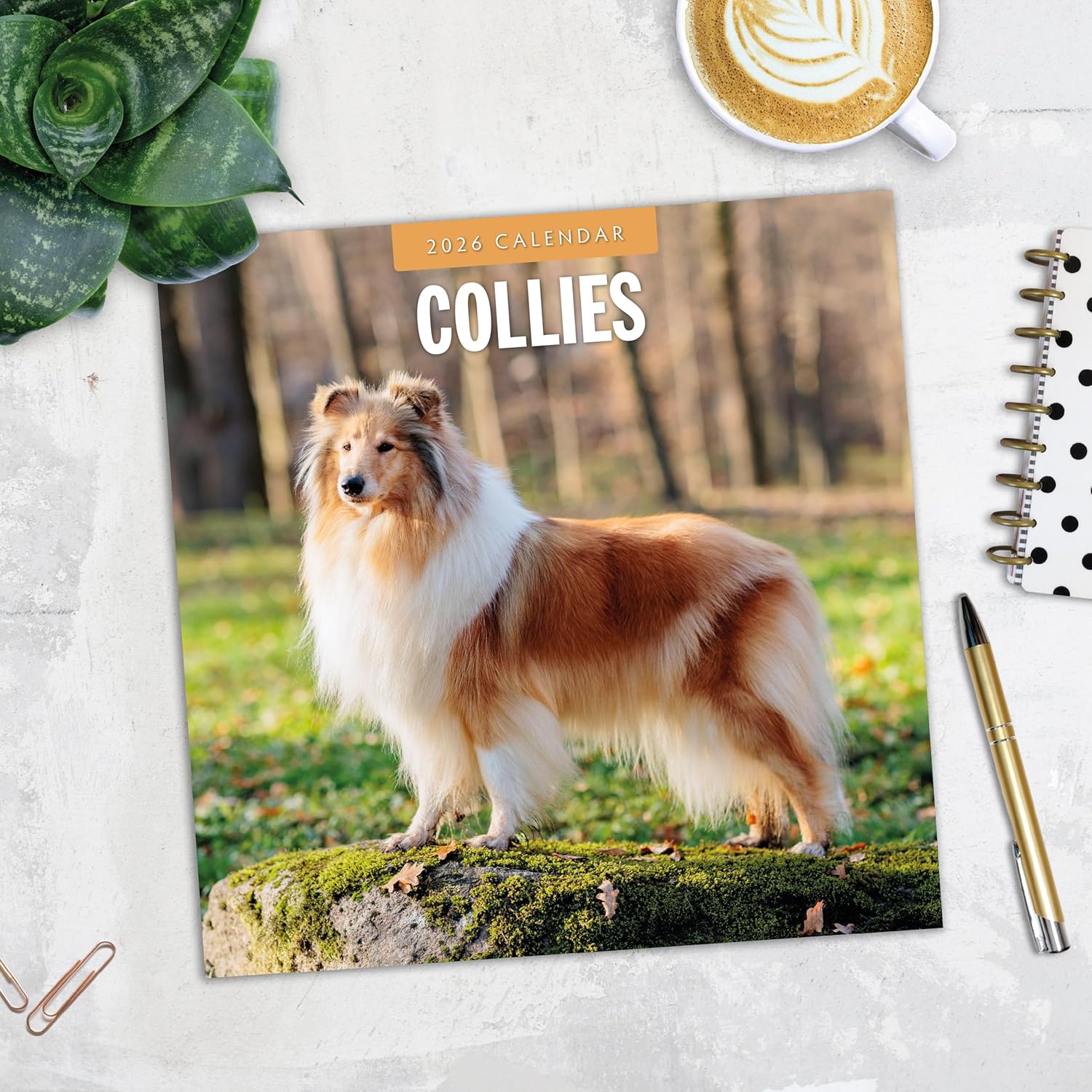 Red Robin 2026 Collies Monthly Wall Calendar | 12" x 24" Open | Premium Thick & Sturdy Paper | Hangable 12 Month Calendar | Lined Notes & To Do Area | Vivid Images | Plastic Free