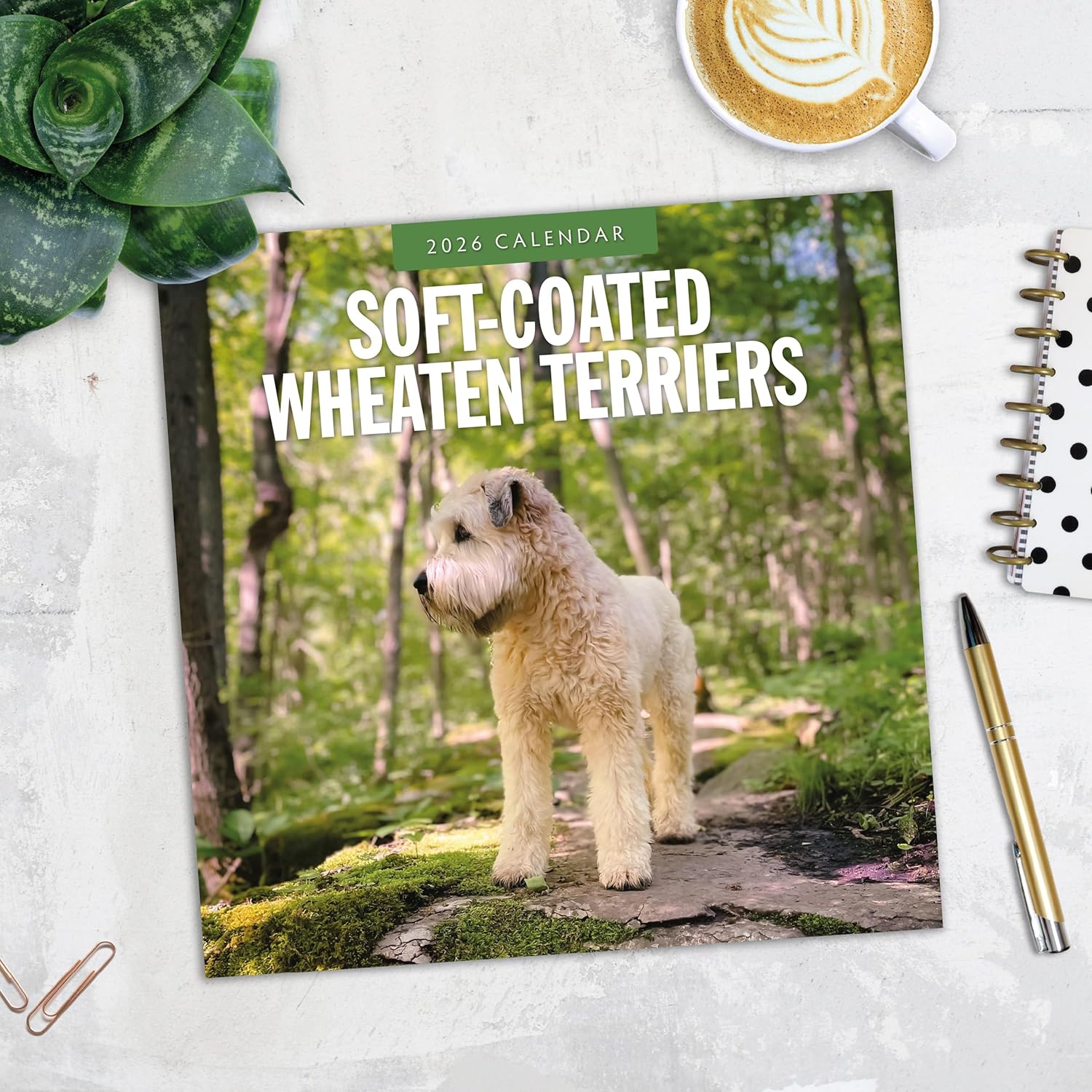 Red Robin 2026 Soft-coated Wheaten Terriers Monthly Wall Calendar | 12" x 24" Open | Premium Thick & Sturdy Paper | Hangable 12 Month Calendar | Lined Notes & To Do Area | Vivid Images | Plastic Free