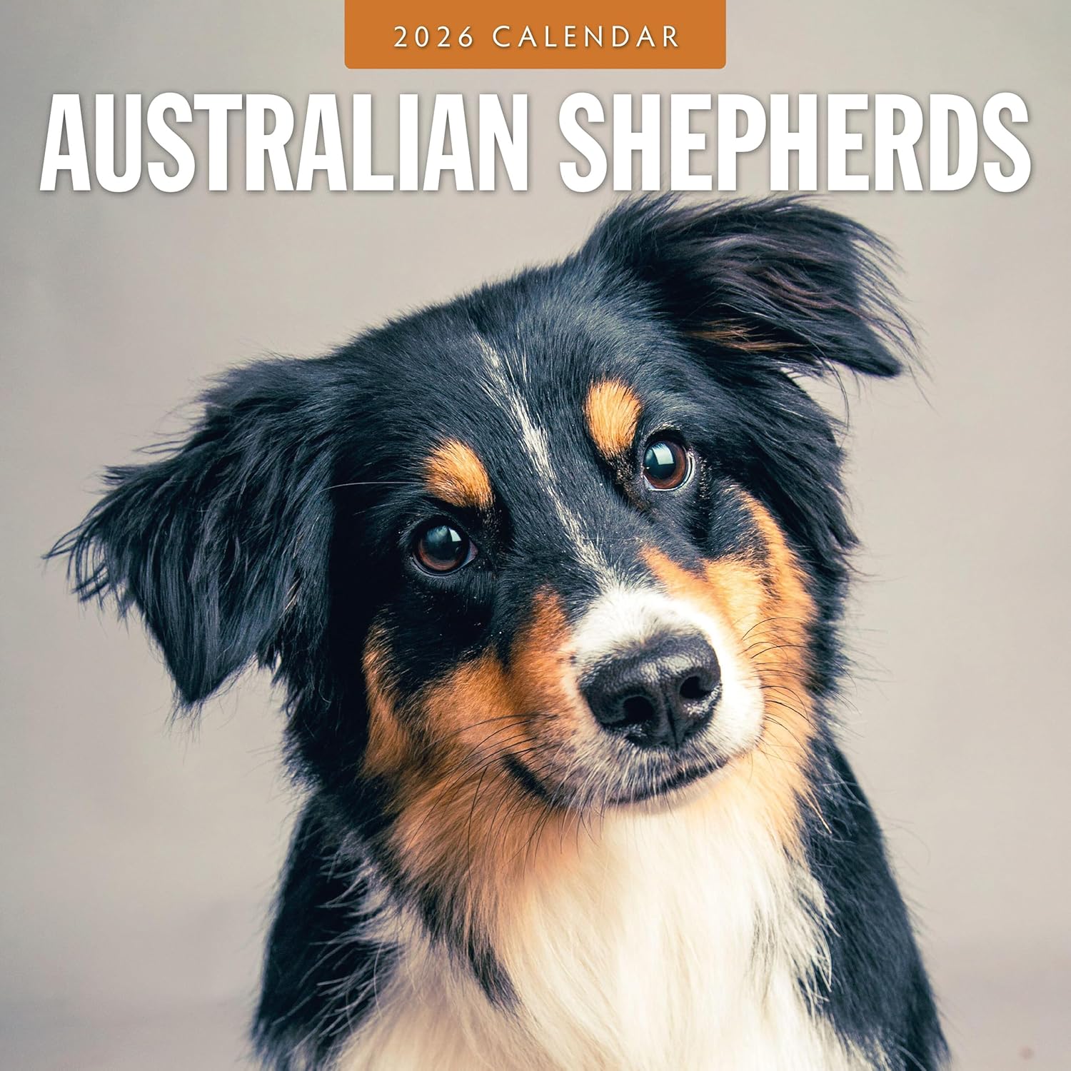Red Robin 2026 Australian Shepherds Monthly Wall Calendar | 12" x 24" Open | Premium Thick & Sturdy Paper | Hangable 12 Month Calendar | Lined Notes & To Do Area | Vivid Images | Plastic Free