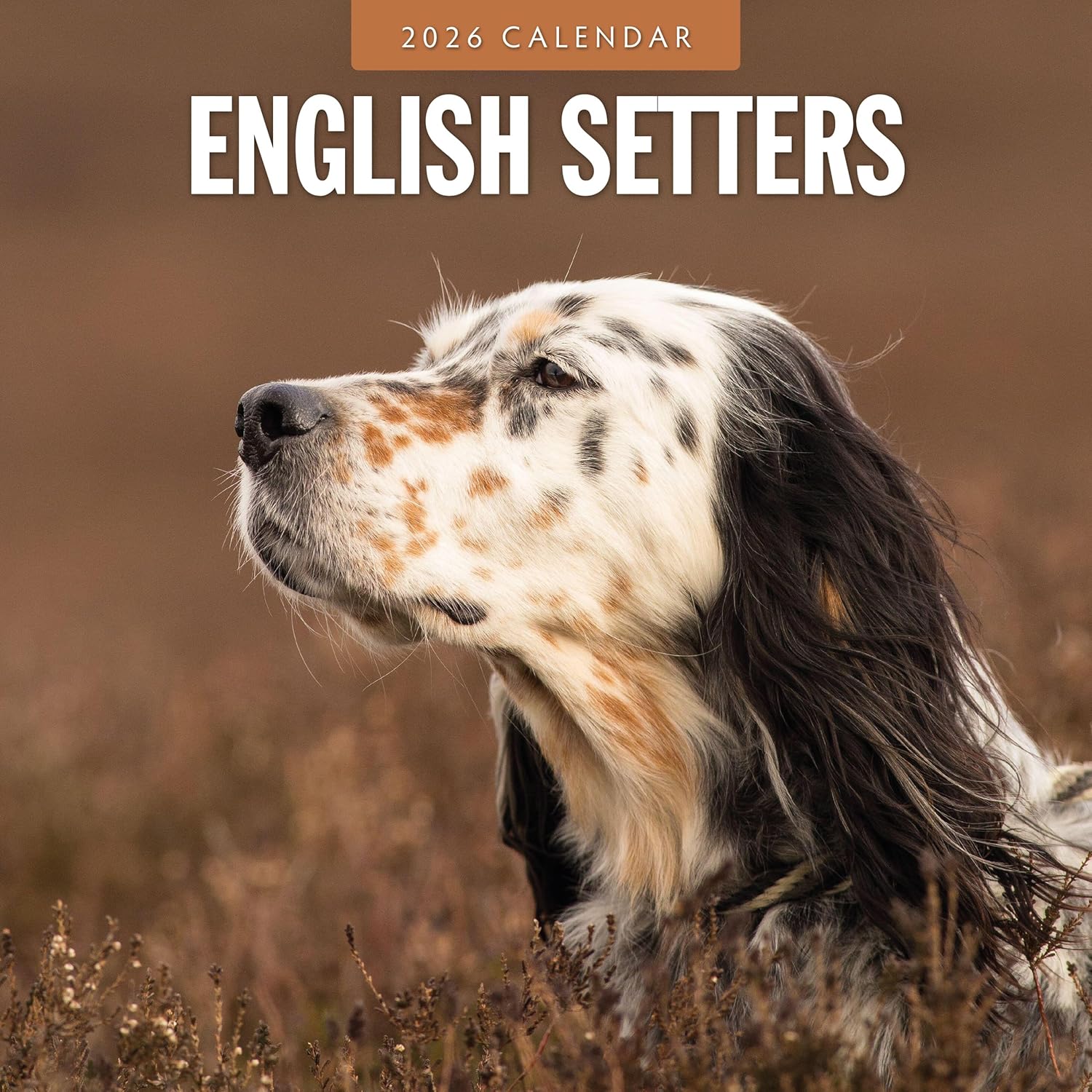 Red Robin 2026 English Setters Monthly Wall Calendar | 12" x 24" Open | Premium Thick & Sturdy Paper | Hangable 12 Month Calendar | Lined Notes & To Do Area | Vivid Images | Plastic Free