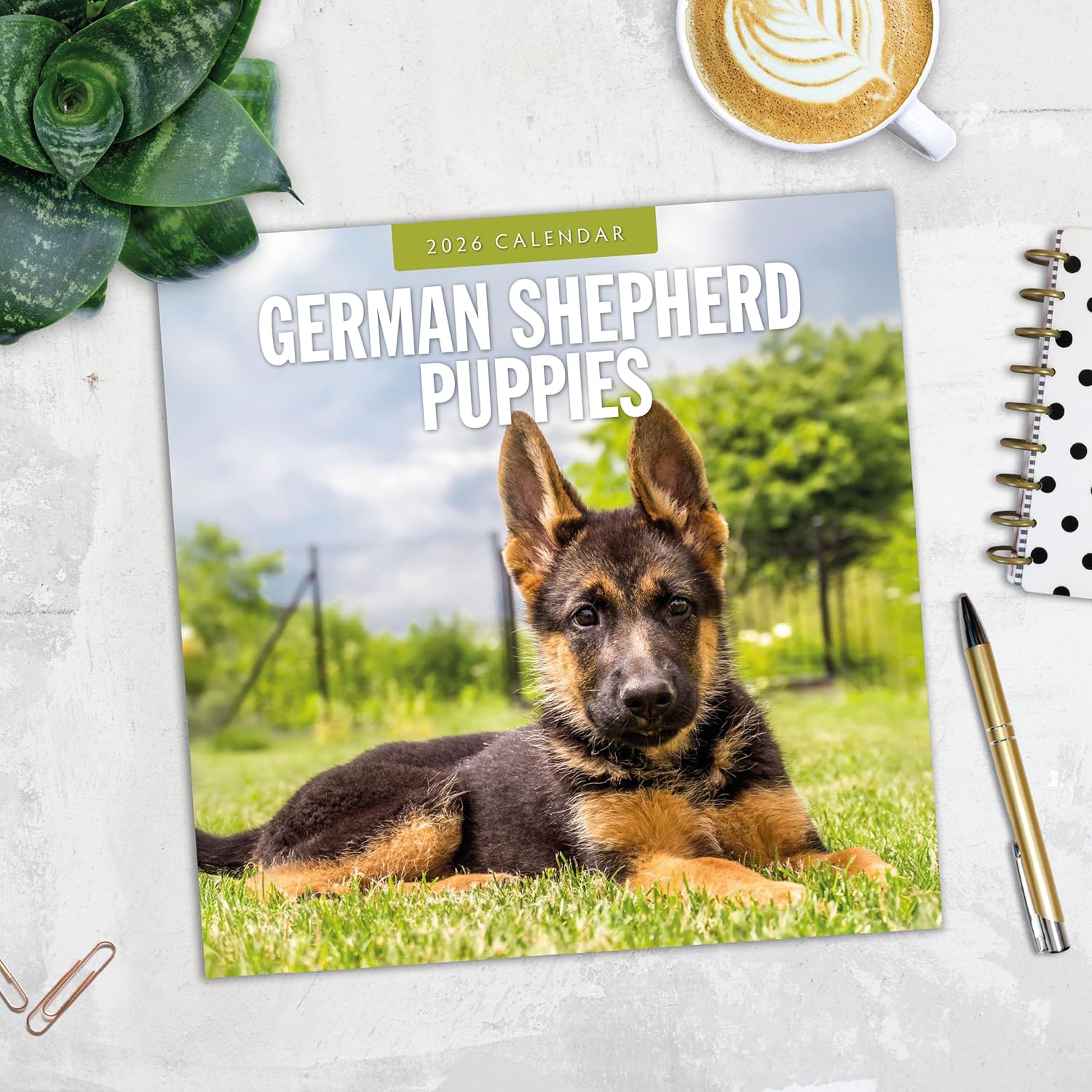Red Robin 2026 German Shepherd Puppies Monthly Wall Calendar | 12" x 24" Open | Premium Thick & Sturdy Paper | Hangable 12 Month Calendar | Lined Notes & To Do Area | Vivid Images | Plastic Free