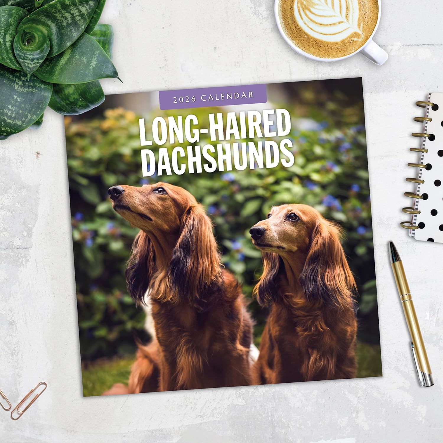 Red Robin 2026 Long-haired Dachshunds Monthly Wall Calendar | 12" x 24" Open | Premium Thick & Sturdy Paper | Hangable 12 Month Calendar | Lined Notes & To Do Area | Vivid Images | Plastic Free