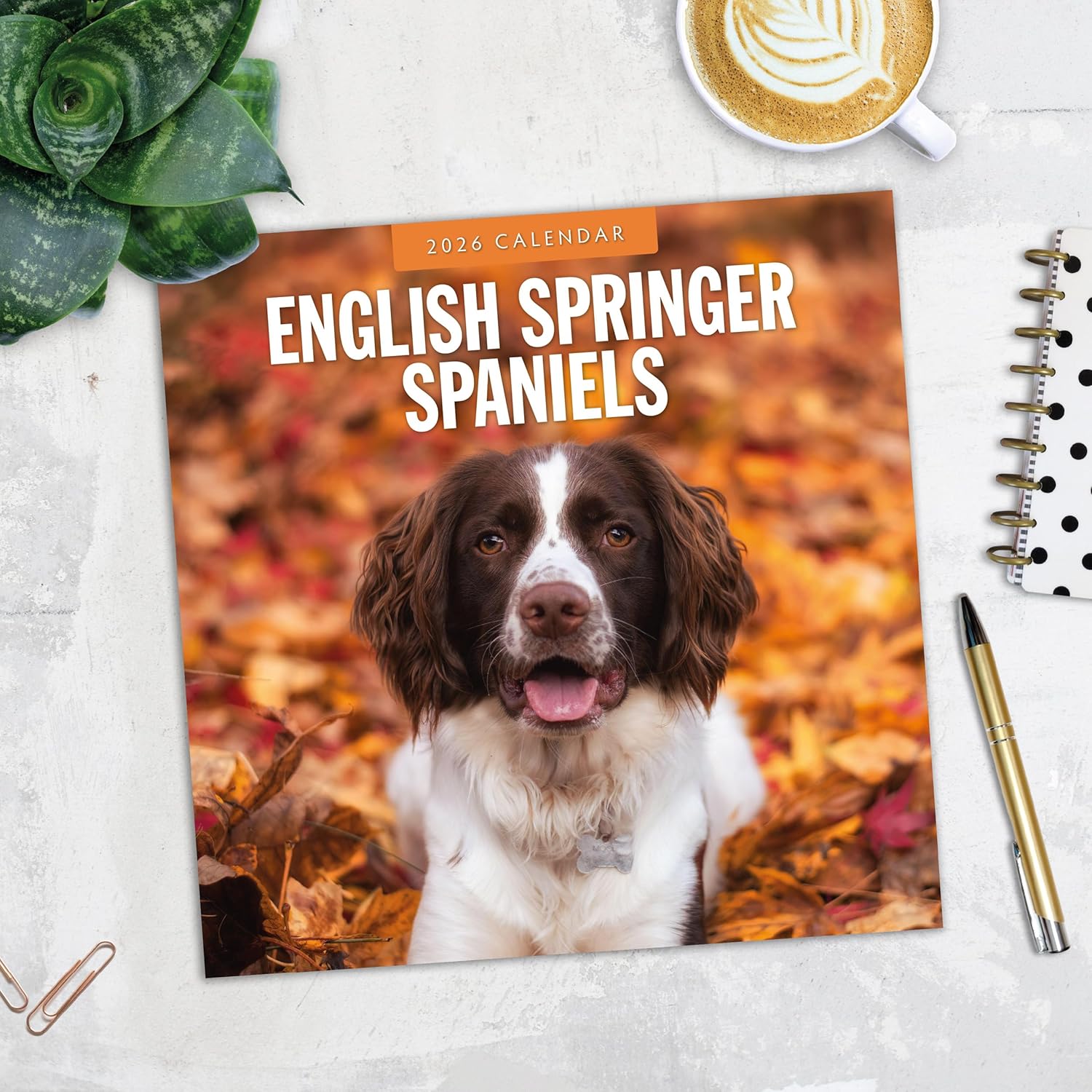 Red Robin 2026 English Springer Spaniels Monthly Wall Calendar | 12" x 24" Open | Premium Thick & Sturdy Paper | Hangable 12 Month Calendar | Lined Notes & To Do Area | Vivid Images | Plastic Free