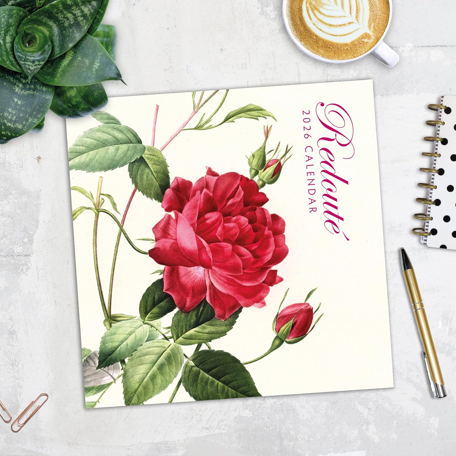 Red Robin 2026 Redoute Monthly Wall Calendar | 12" x 24" Open | Premium Thick & Sturdy Paper | Hangable 12 Month Calendar | Lined Notes & To Do Area | Vivid Images | Plastic Free