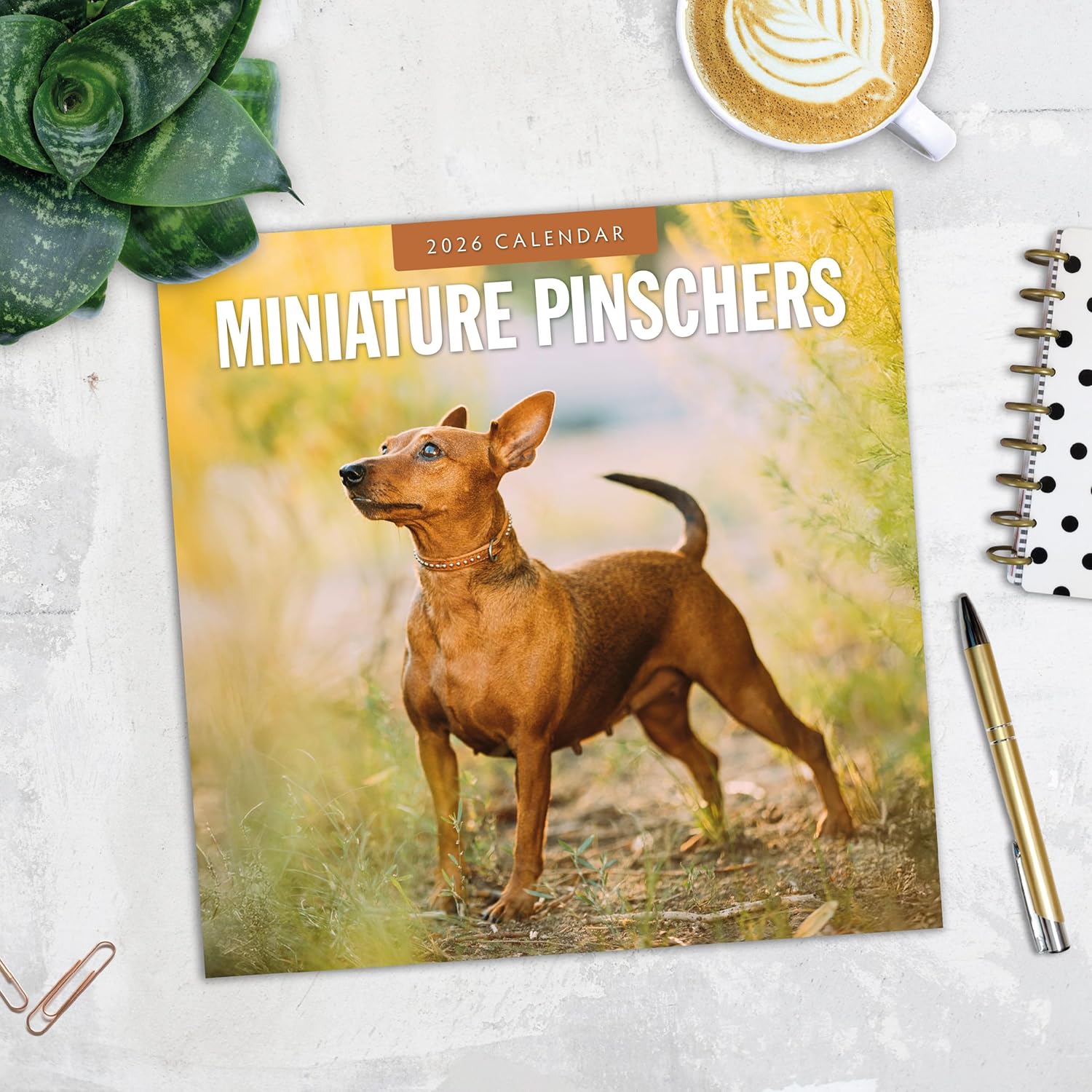 Red Robin 2026 Miniature Pinschers Monthly Wall Calendar | 12" x 24" Open | Premium Thick & Sturdy Paper | Hangable 12 Month Calendar | Lined Notes & To Do Area | Vivid Images | Plastic Free