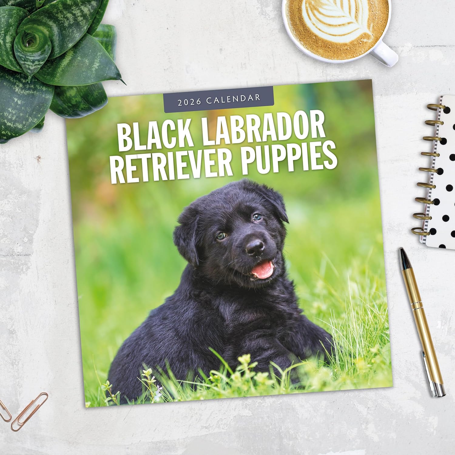 Red Robin 2026 Black Labrador Retriever Puppies Monthly Wall Calendar | 12" x 24" Open | Premium Thick & Sturdy Paper | Hangable 12 Month Calendar | Lined Notes & To Do Area | Plastic Free