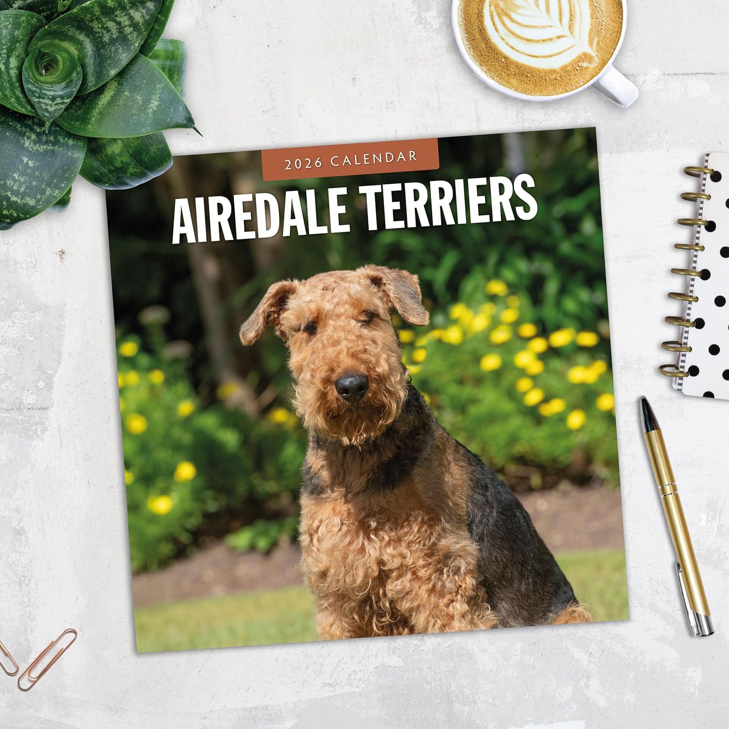 Red Robin 2026 Airedale Terriers Monthly Wall Calendar | 12" x 24" Open | Premium Thick & Sturdy Paper | Hangable 12 Month Calendar | Lined Notes & To Do Area | Vivid Images | Plastic Free