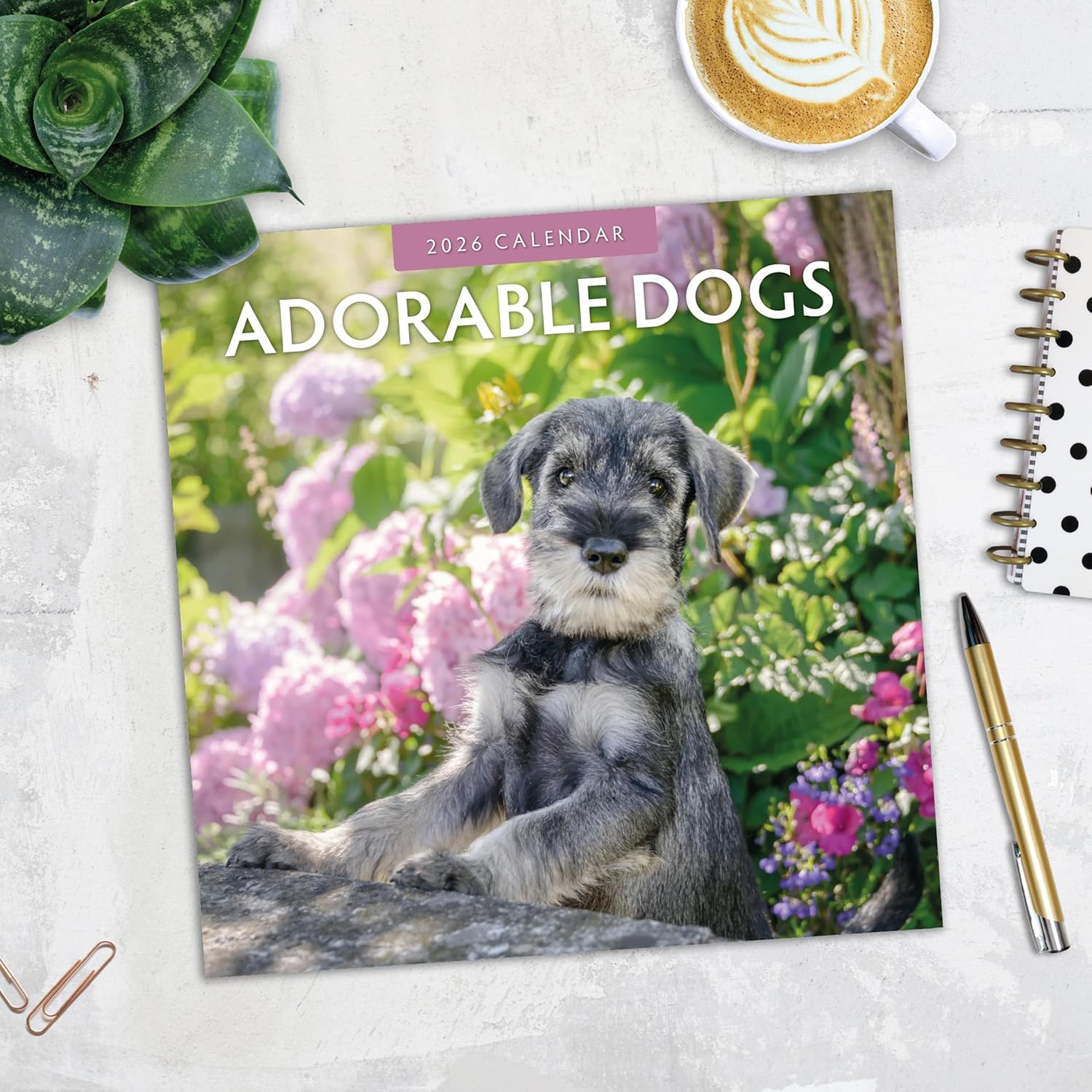 Adorable Dogs - 2026 Square Wall Calendar - by Red Robin Publishing