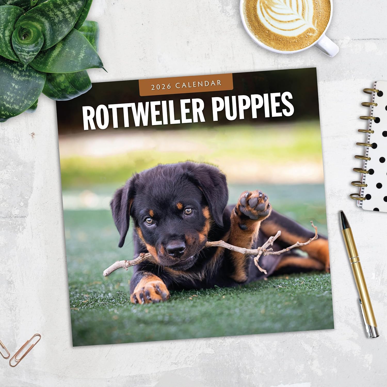 Red Robin 2026 Rottweiler Puppies Monthly Wall Calendar | 12" x 24" Open | Premium Thick & Sturdy Paper | Hangable 12 Month Calendar | Lined Notes & To Do Area | Vivid Images | Plastic Free