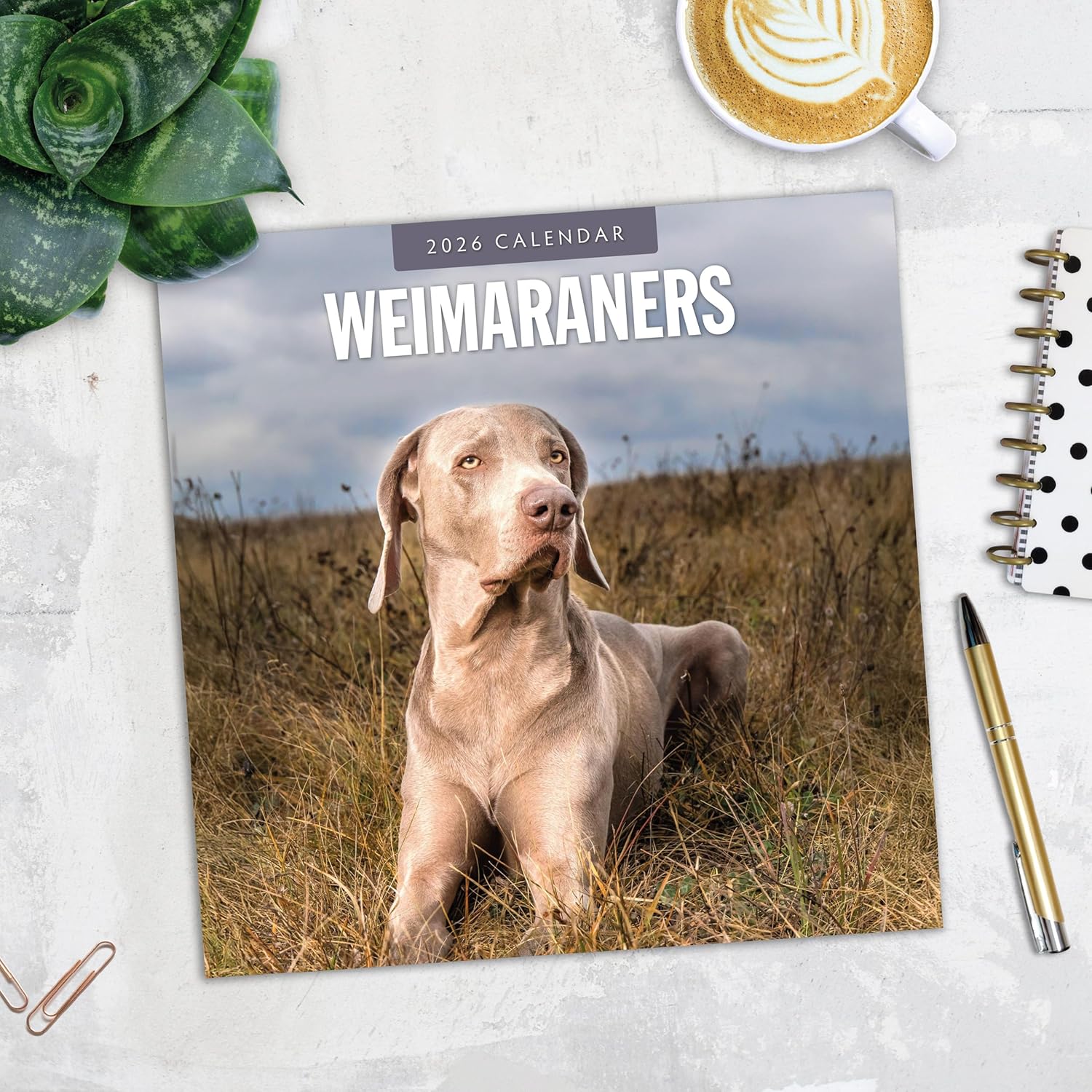 Red Robin 2026 Weimaraners Monthly Wall Calendar | 12" x 24" Open | Premium Thick & Sturdy Paper | Hangable 12 Month Calendar | Lined Notes & To Do Area | Vivid Images | Plastic Free